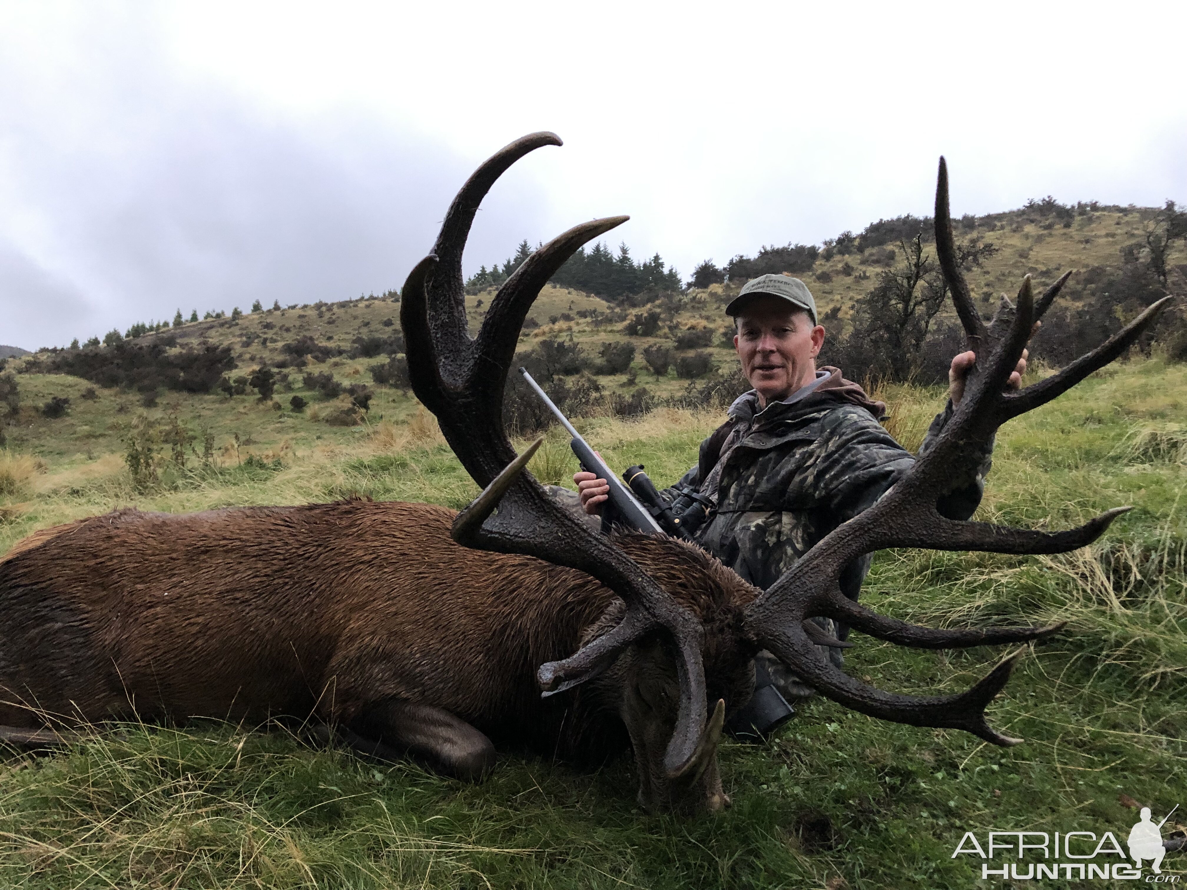 New Zealand Hunt Red Stag