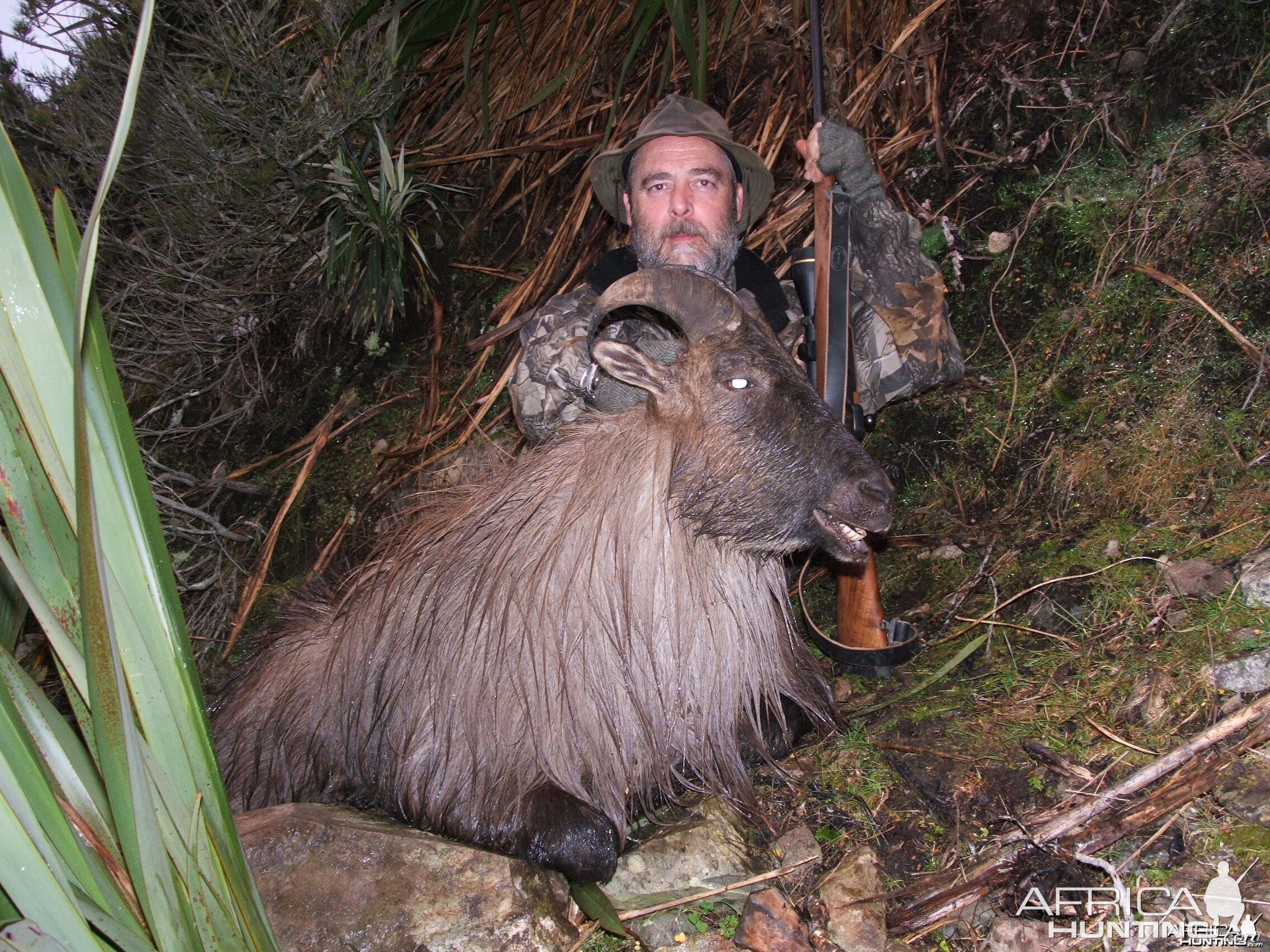 New Zealand Hunt