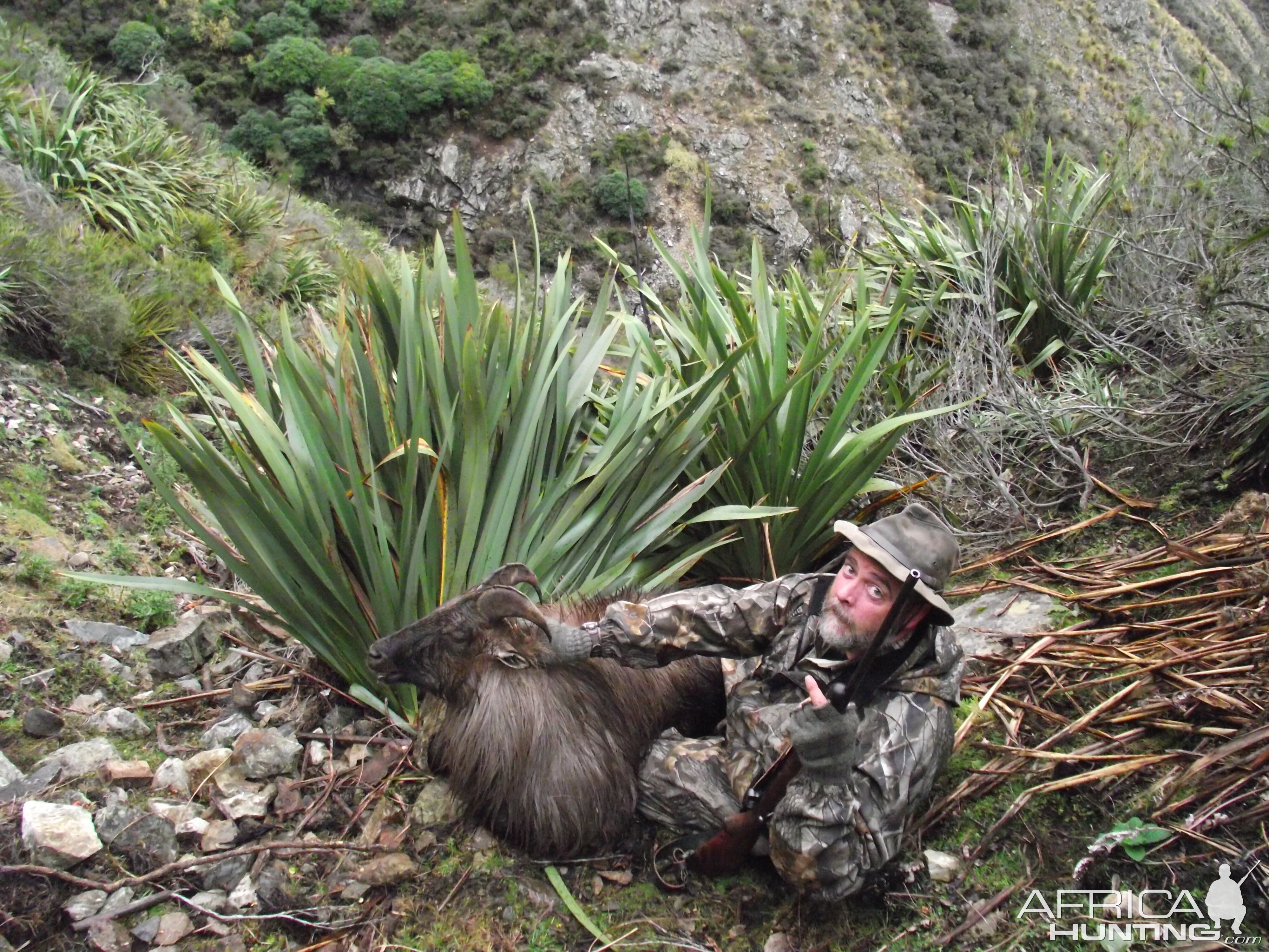 New Zealand Hunt