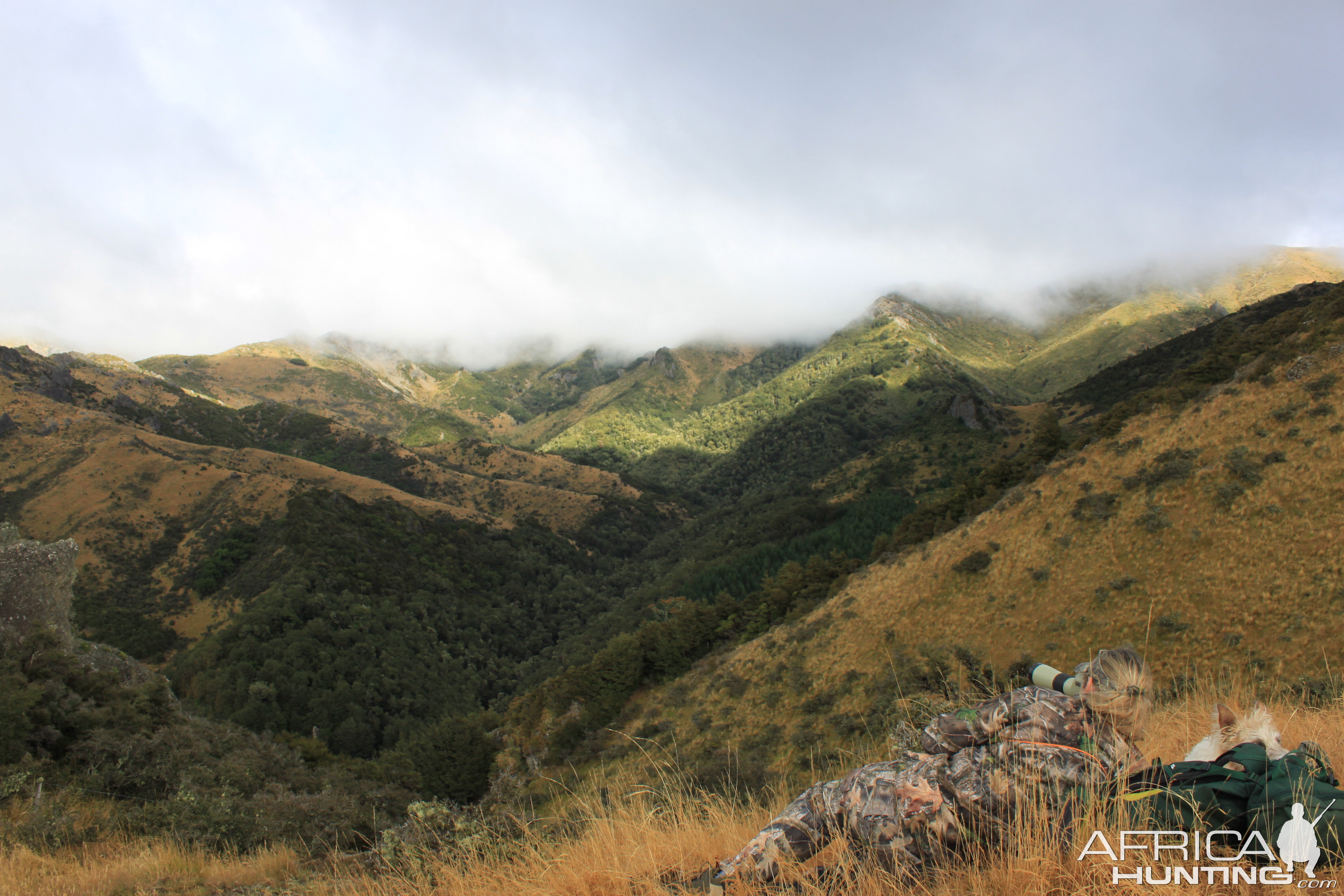 New Zealand Hunt