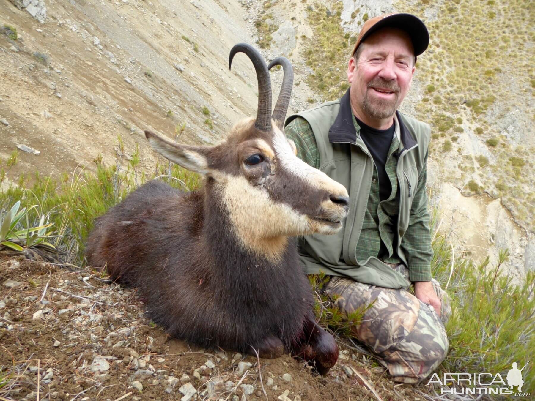 New Zealand Hunting Alpine Chamois