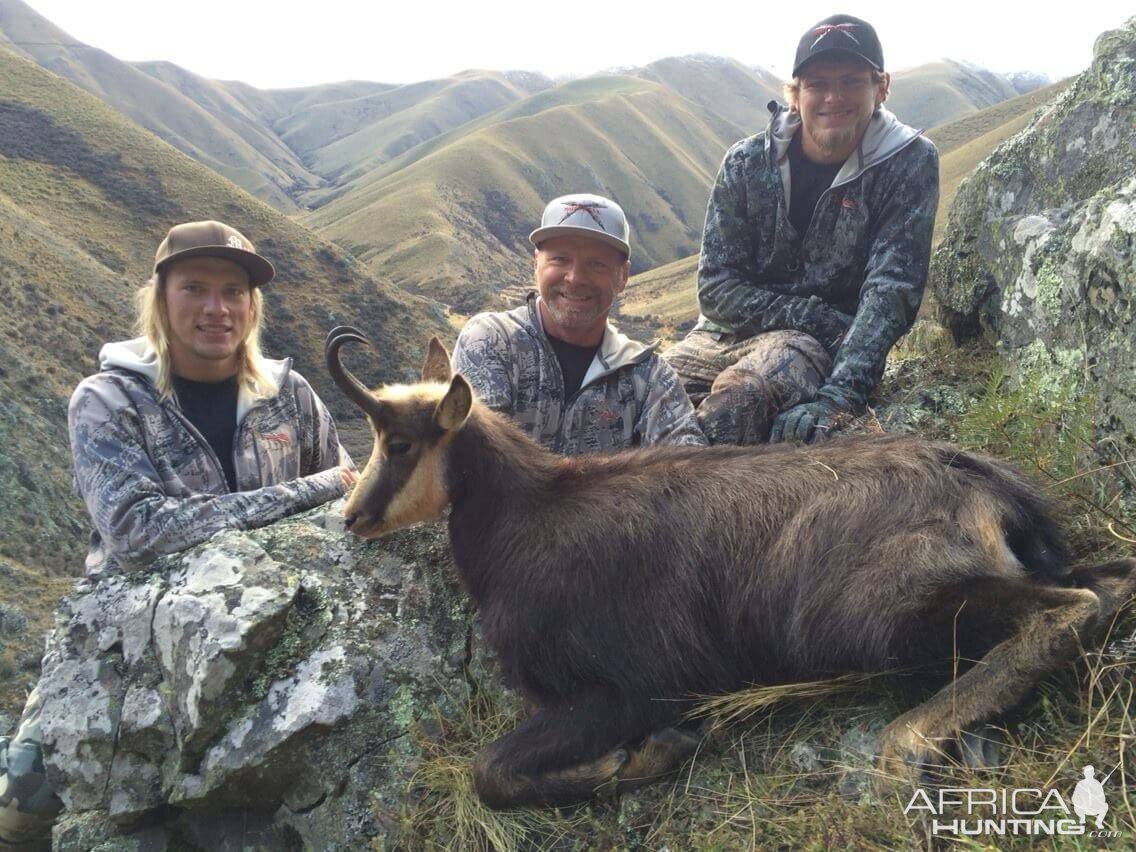 New Zealand Hunting Alpine Chamois