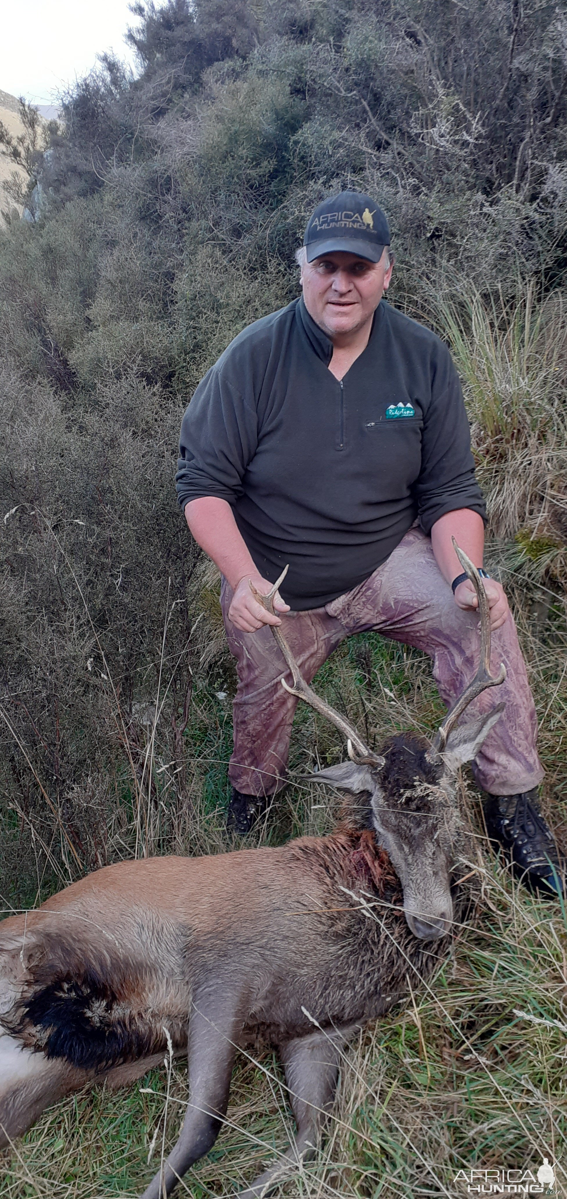 New Zealand Hunting Red Stag