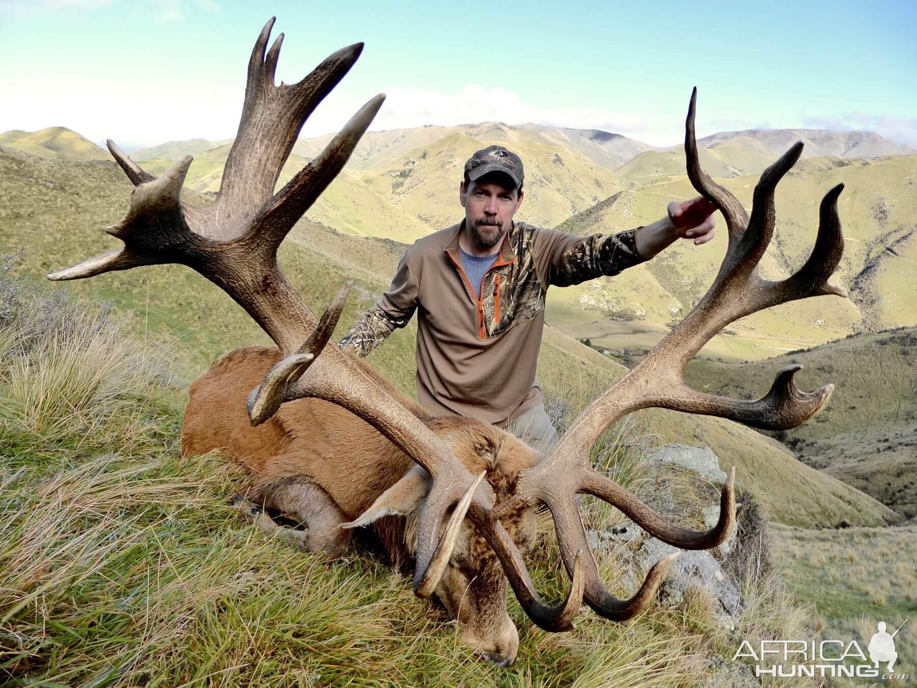 New Zealand Hunting Red Stag