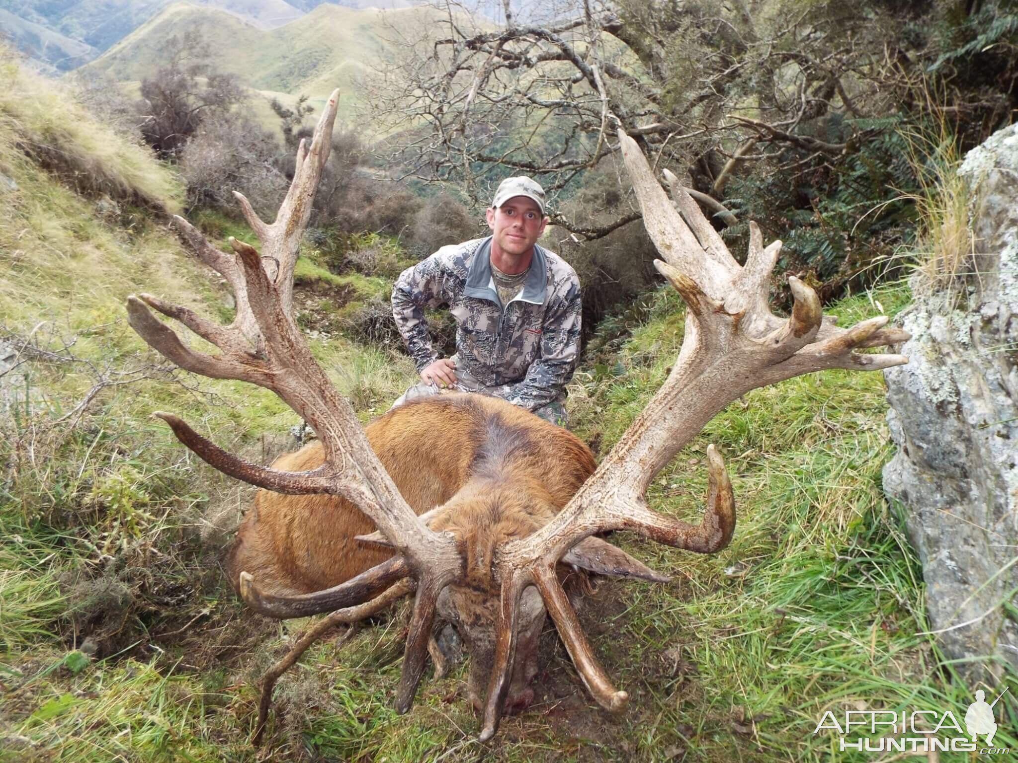 New Zealand Hunting Red Stag