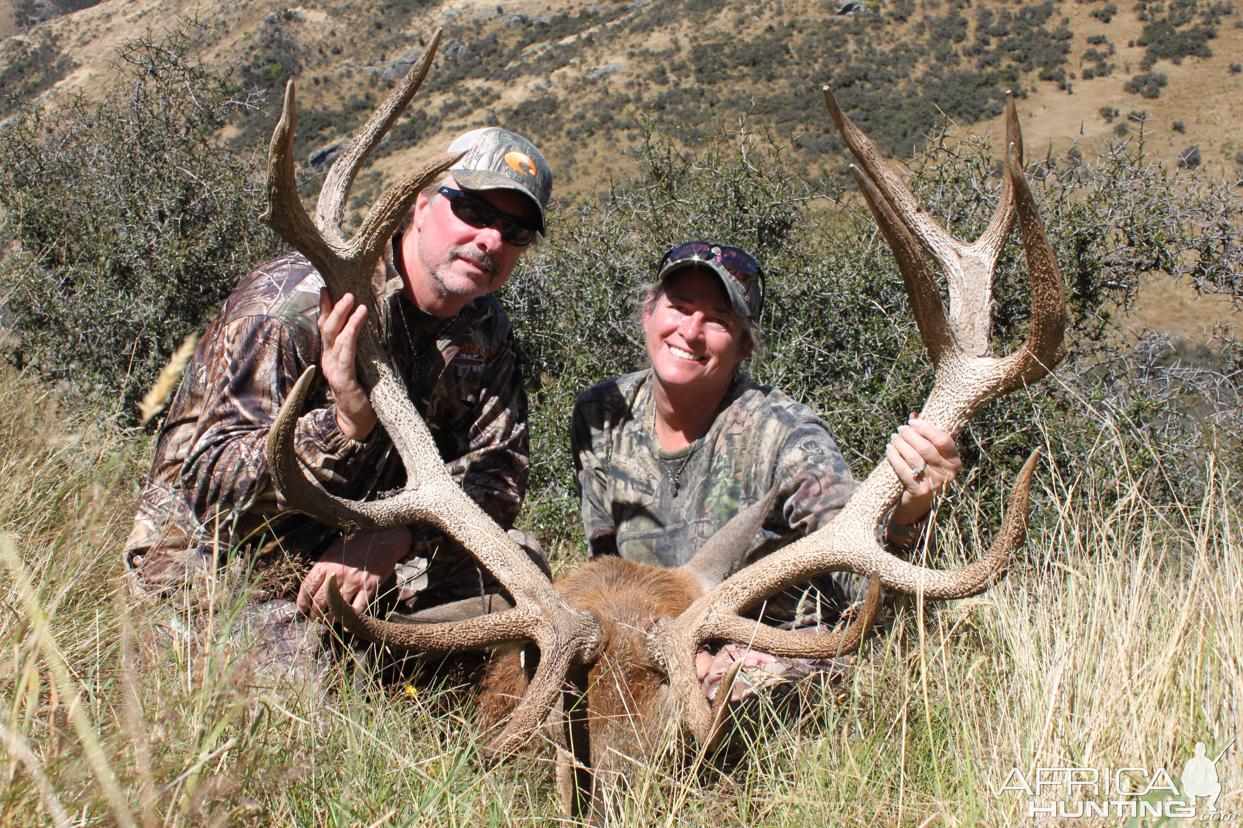 New Zealand Hunting Red Stag