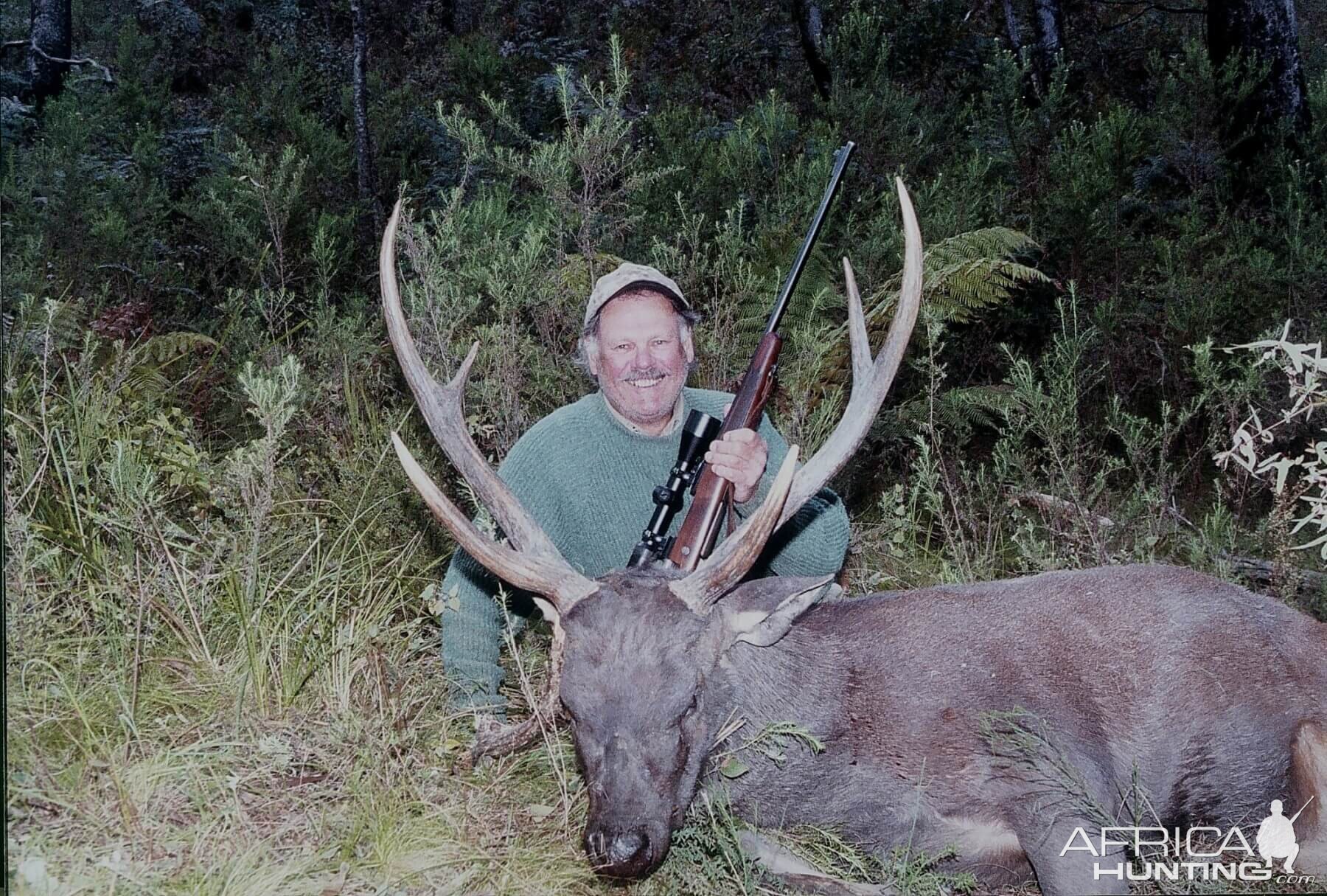 New Zealand Hunting Sambar Deer