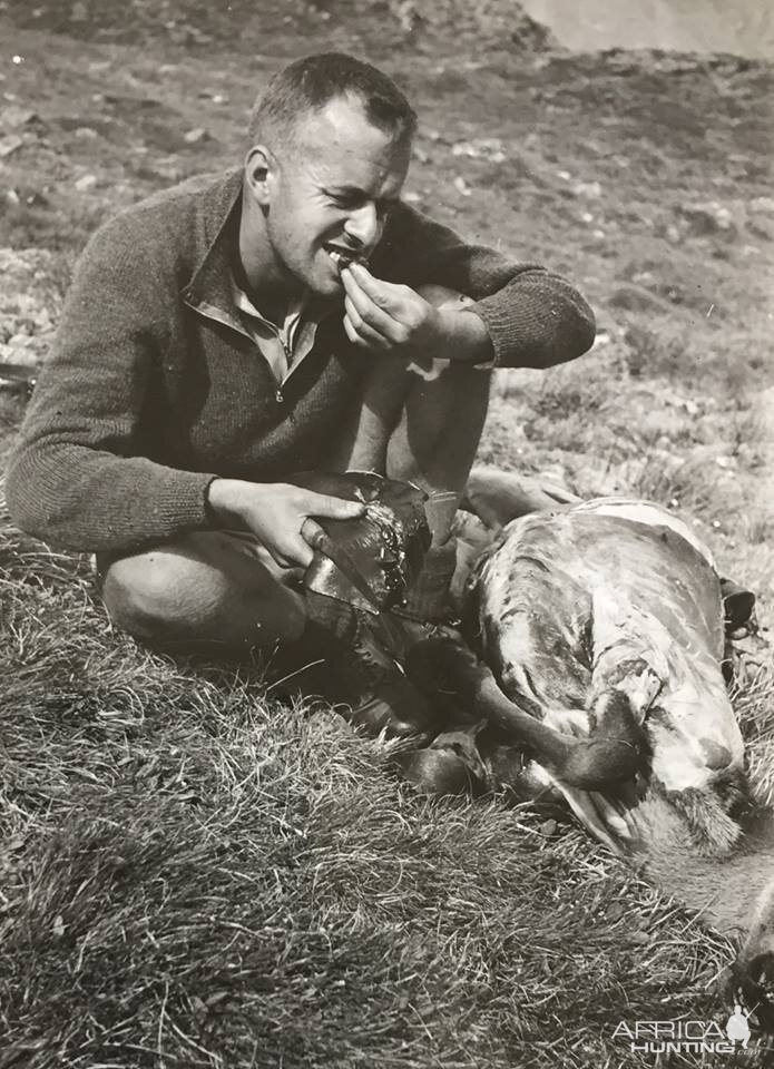 New Zealand Hunting