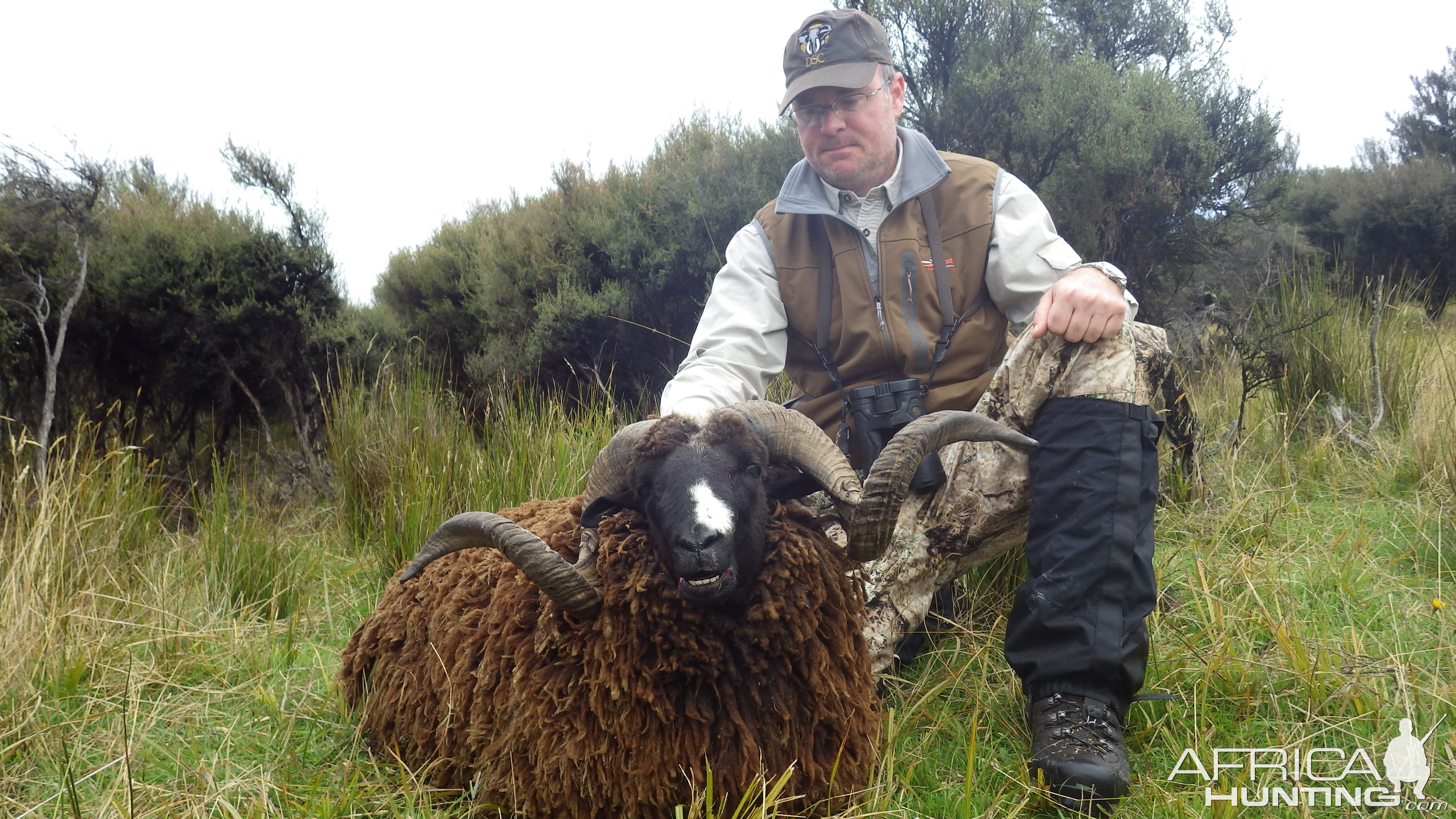 New Zealand March 2017 Leithen Valley