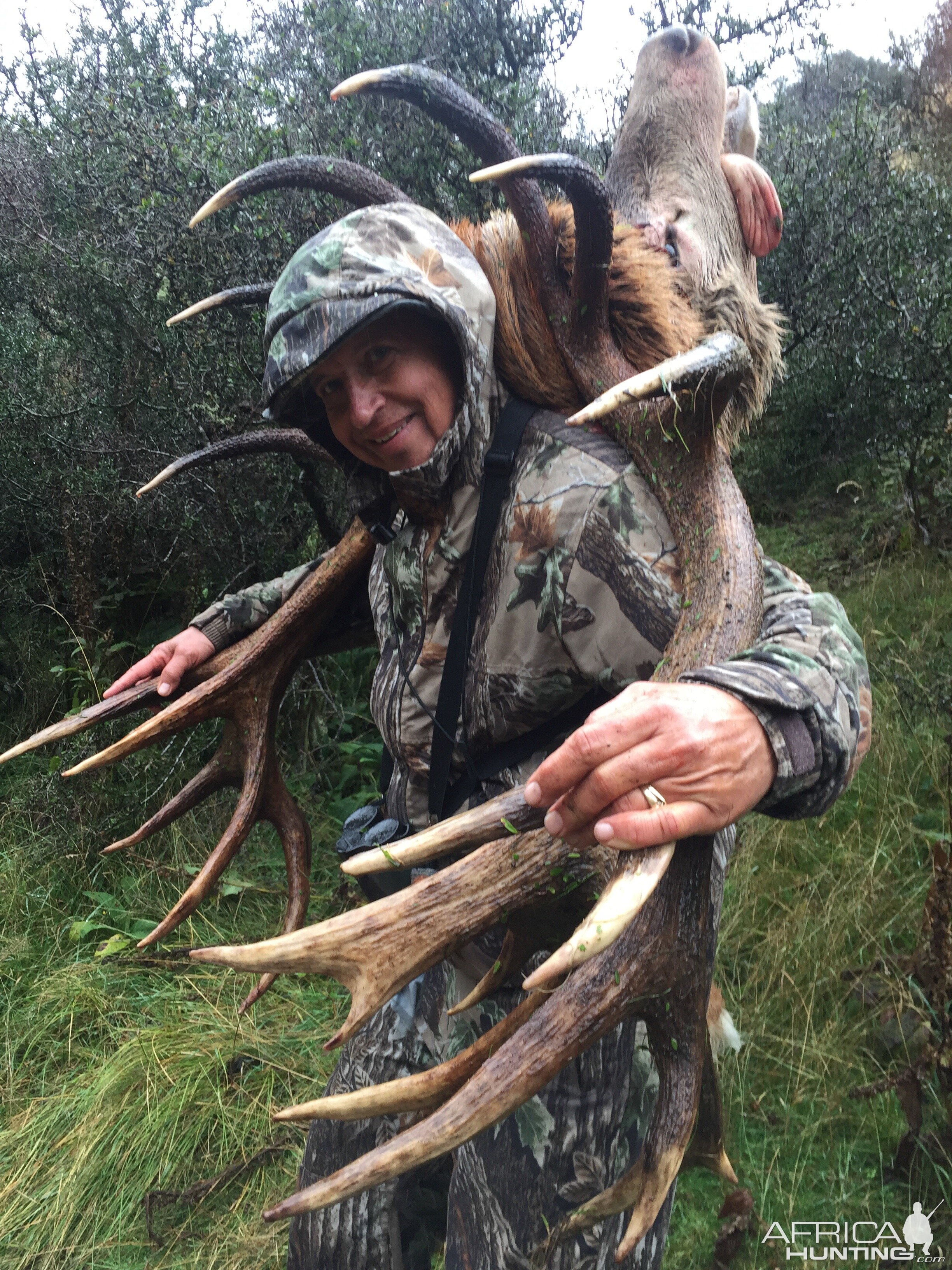 New Zealand Red Stag Hunt