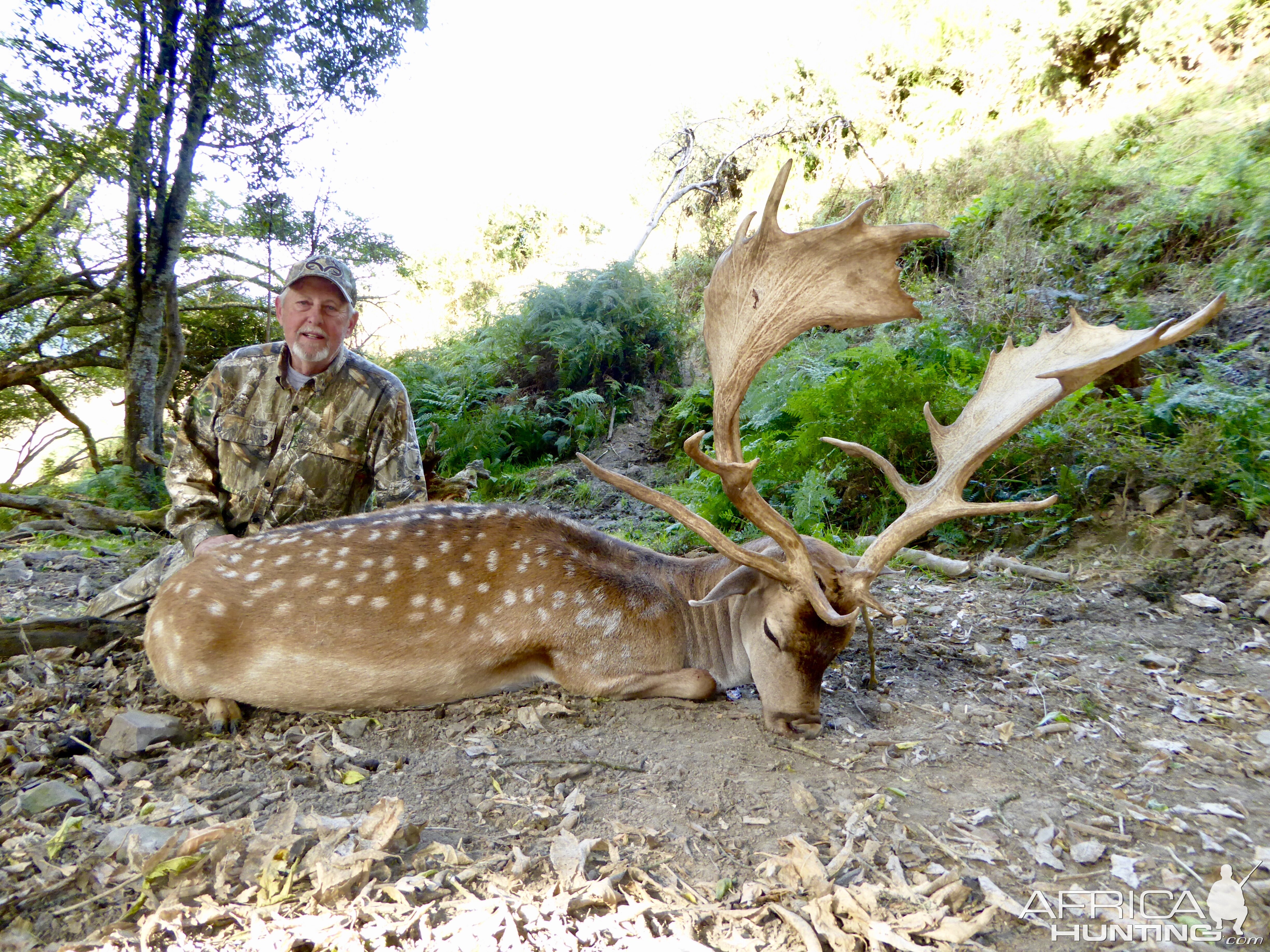 New Zealand Safaris Hunting