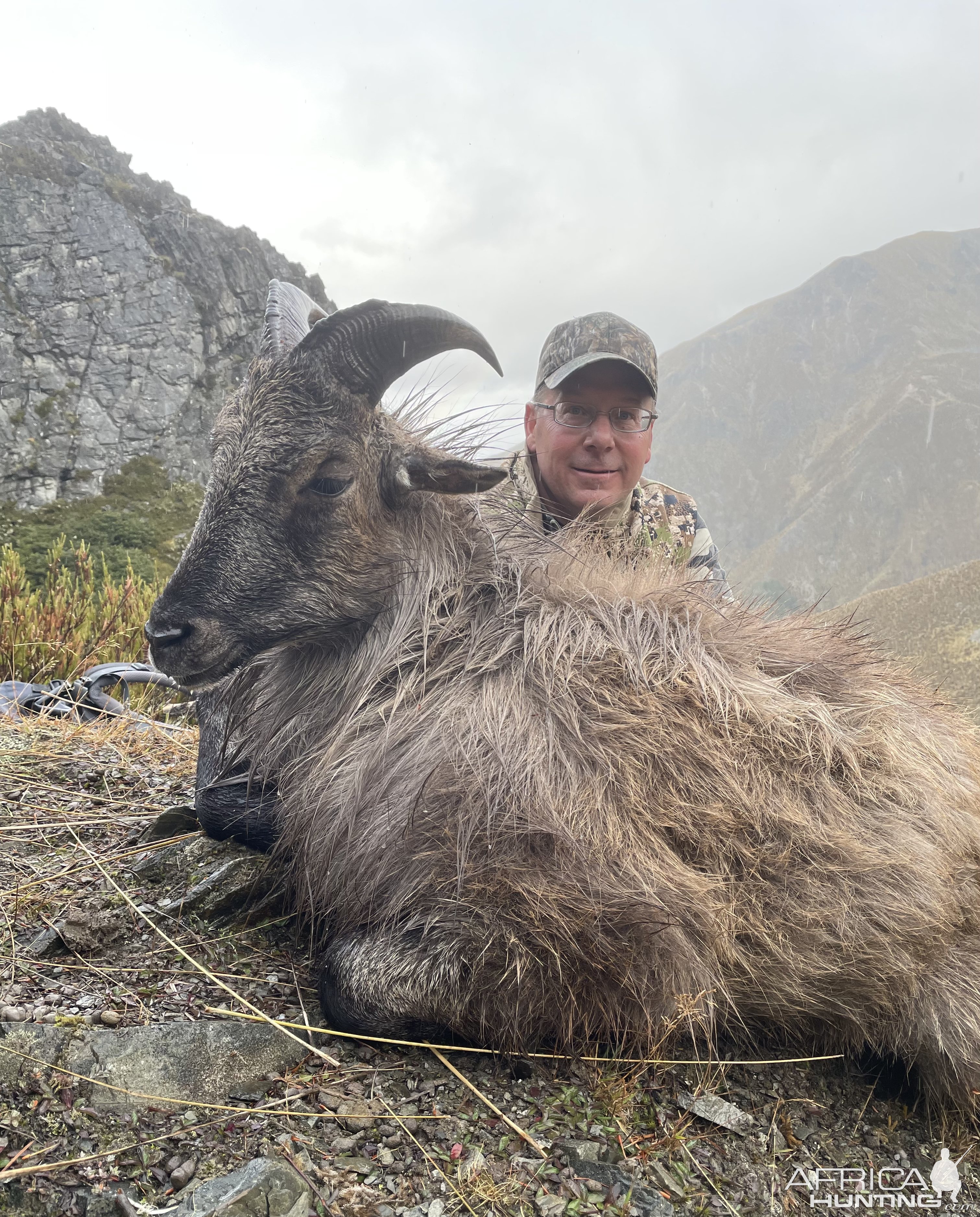 New Zealand Tahr Hunt