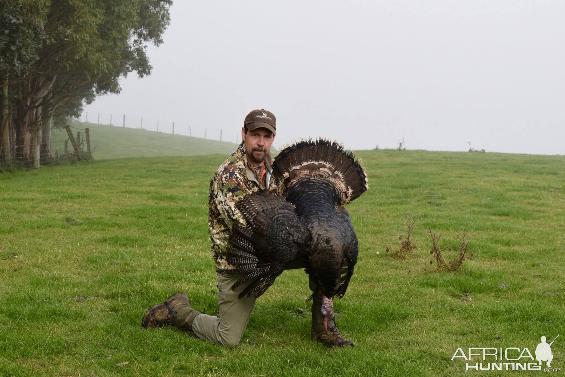 New Zealand WIng Shooting Merriams Wild Turkey