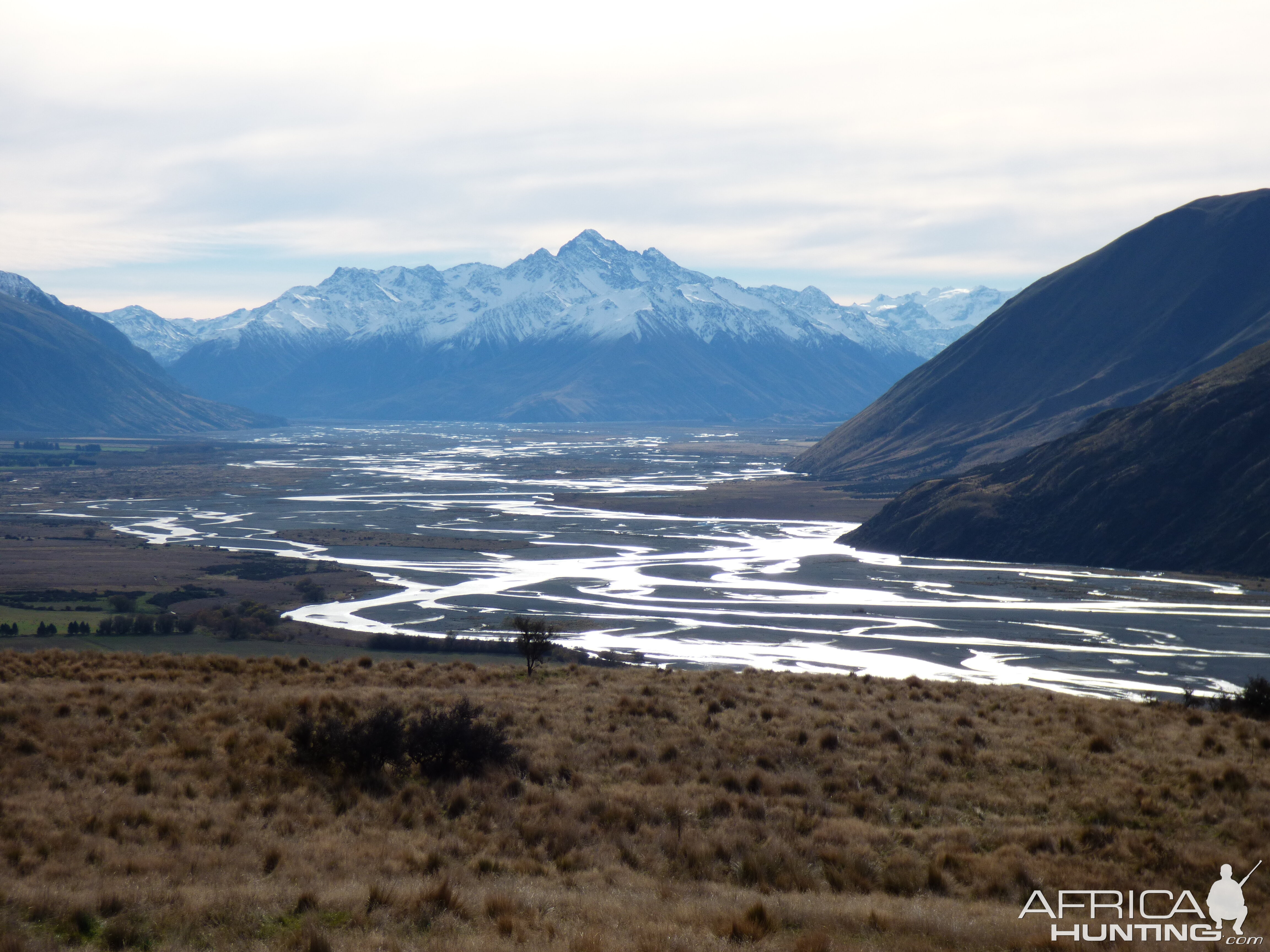 New Zealand