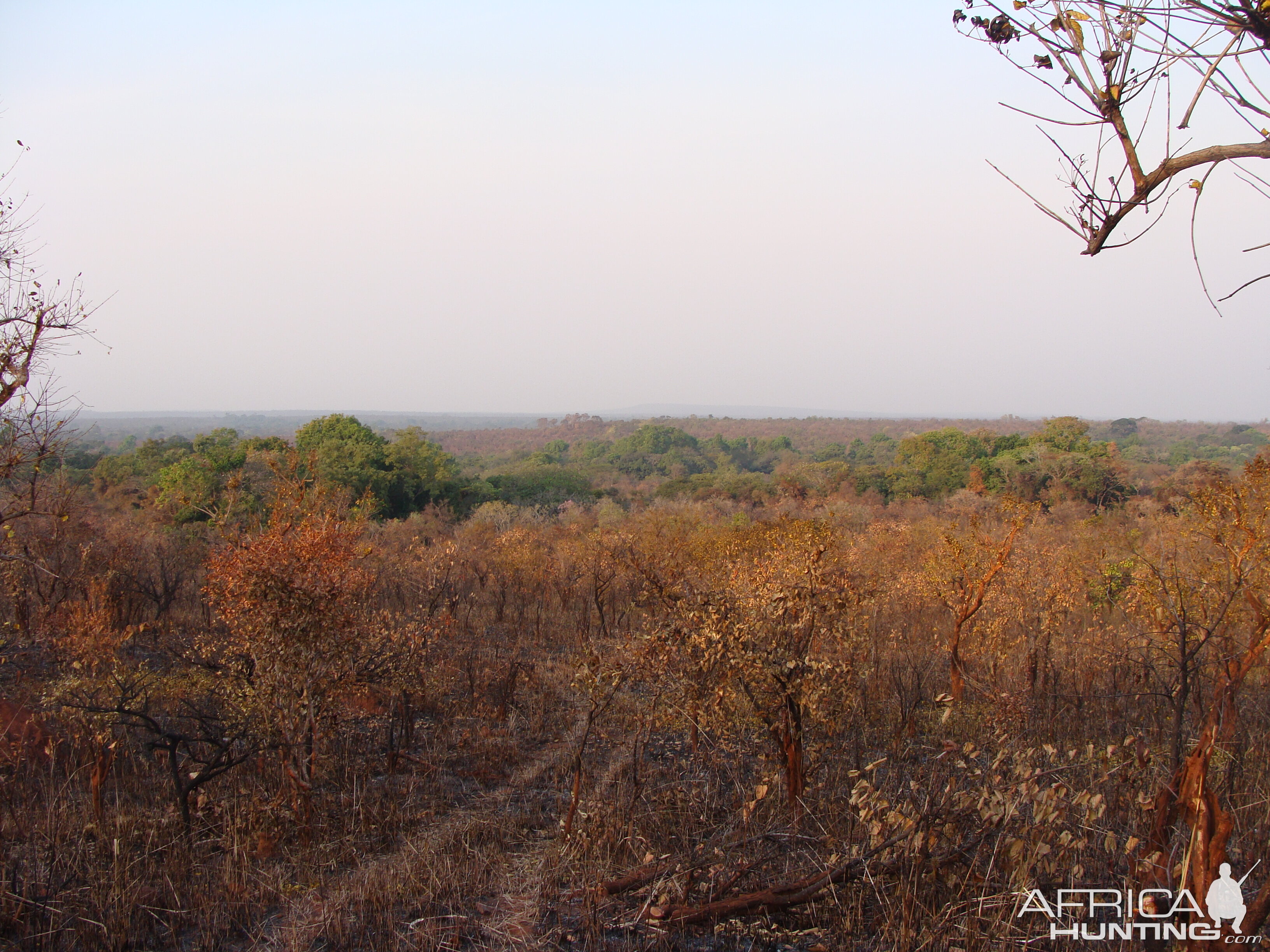 Ngoyo area in CAR with Central African Wildlife Adventures