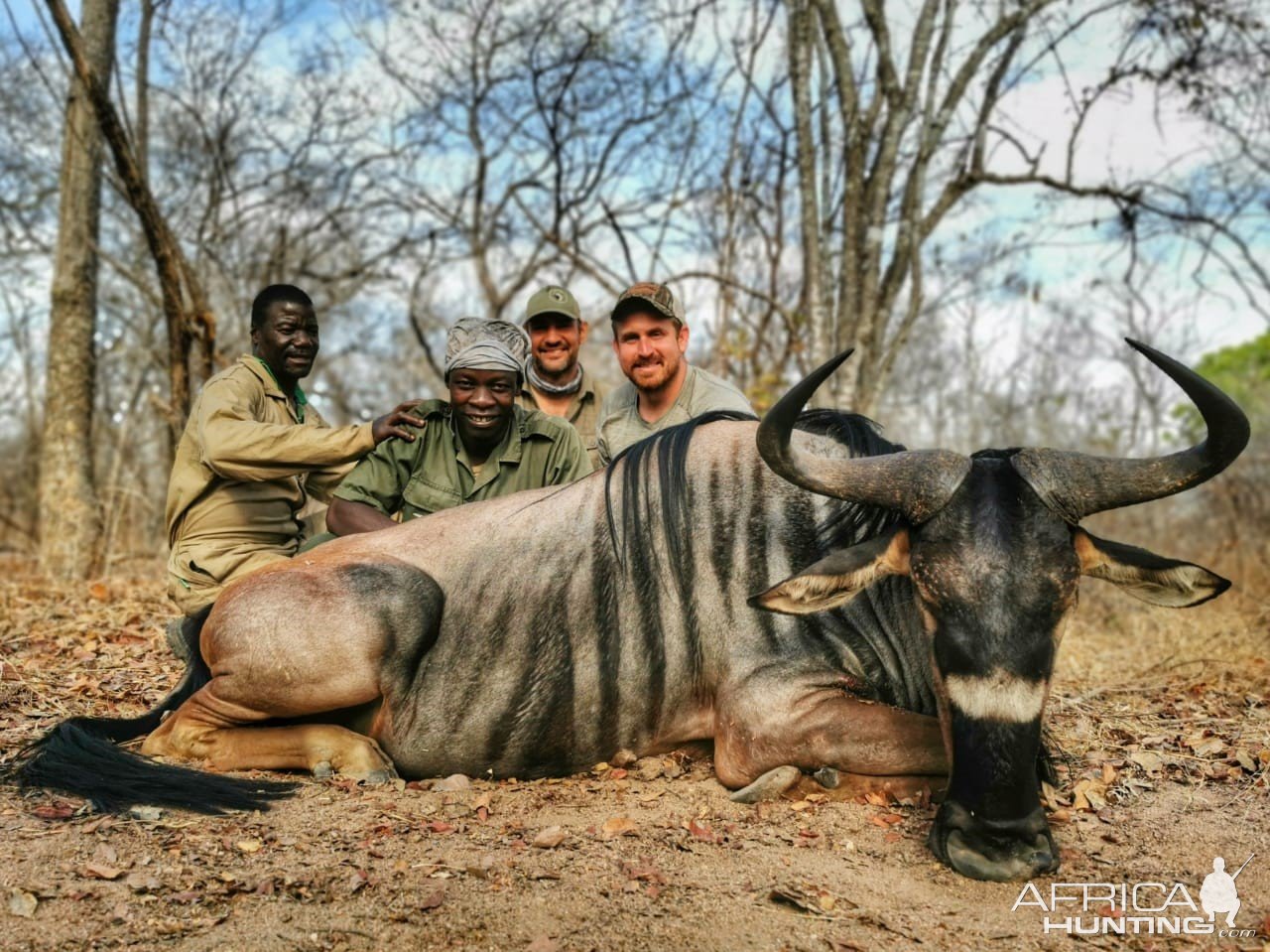 Niassa Wildebeest Hunt Mozambique