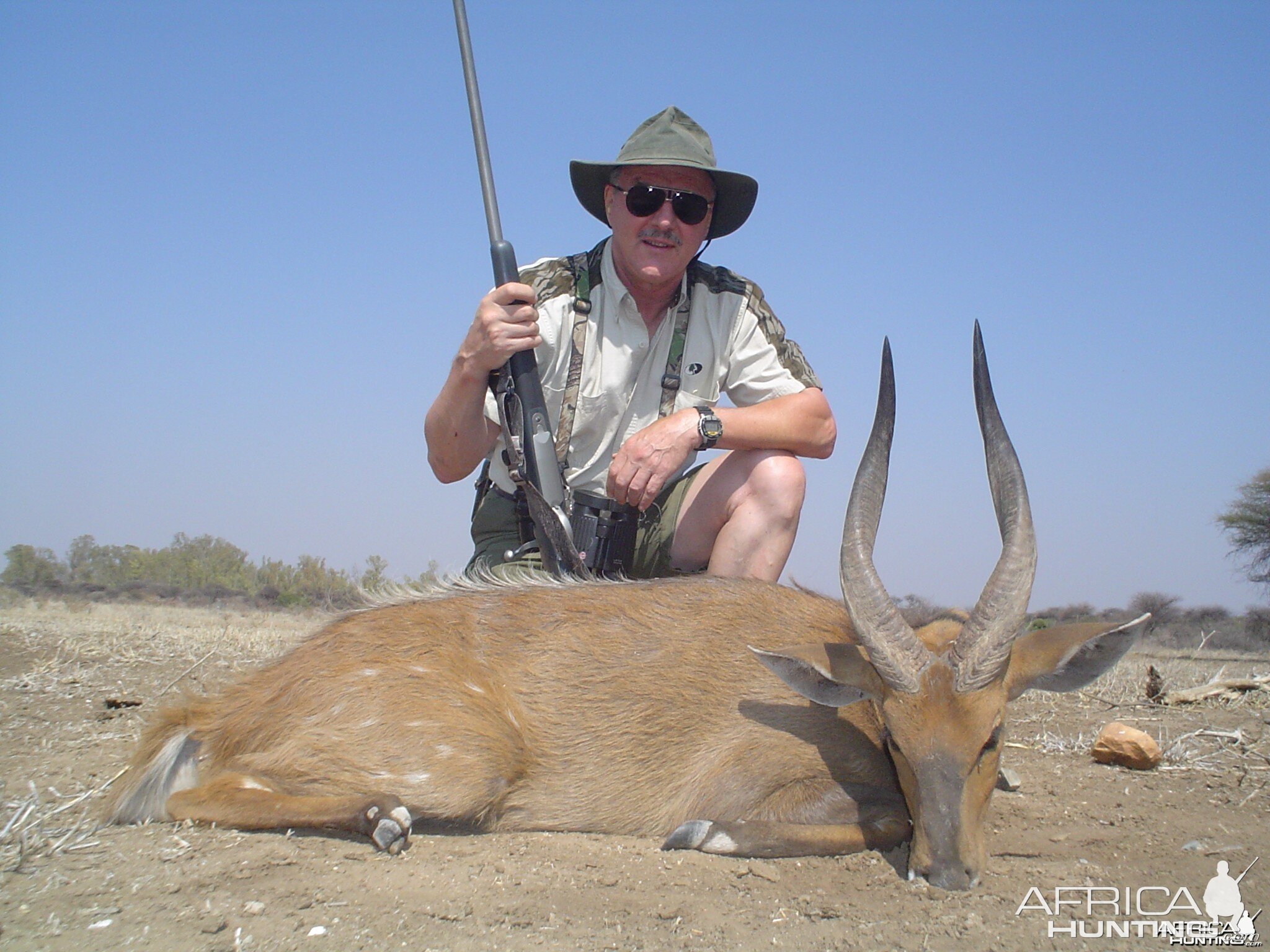 Nice Bushbuck 16 "