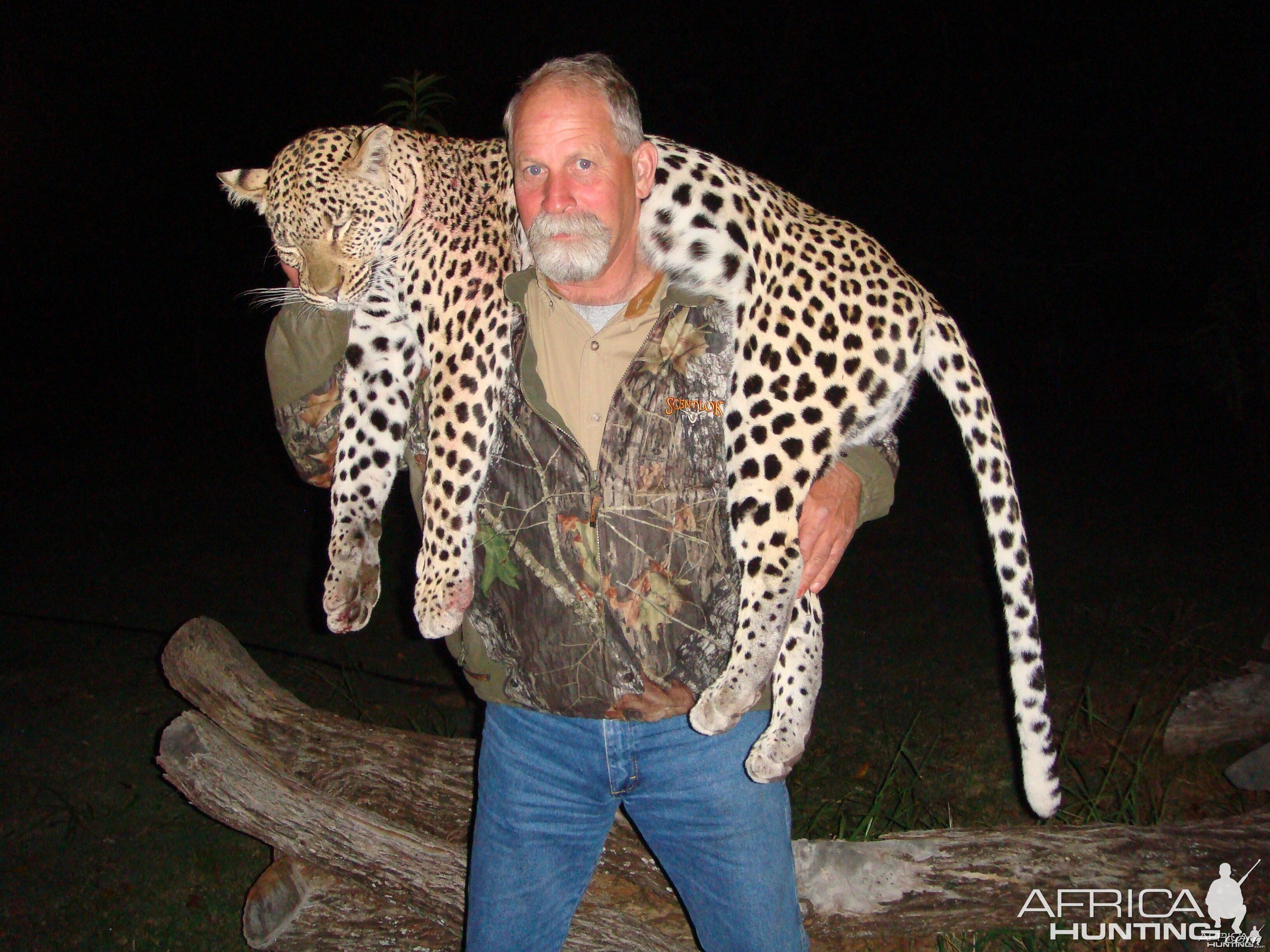 Nice leopard taken in Waterberg !