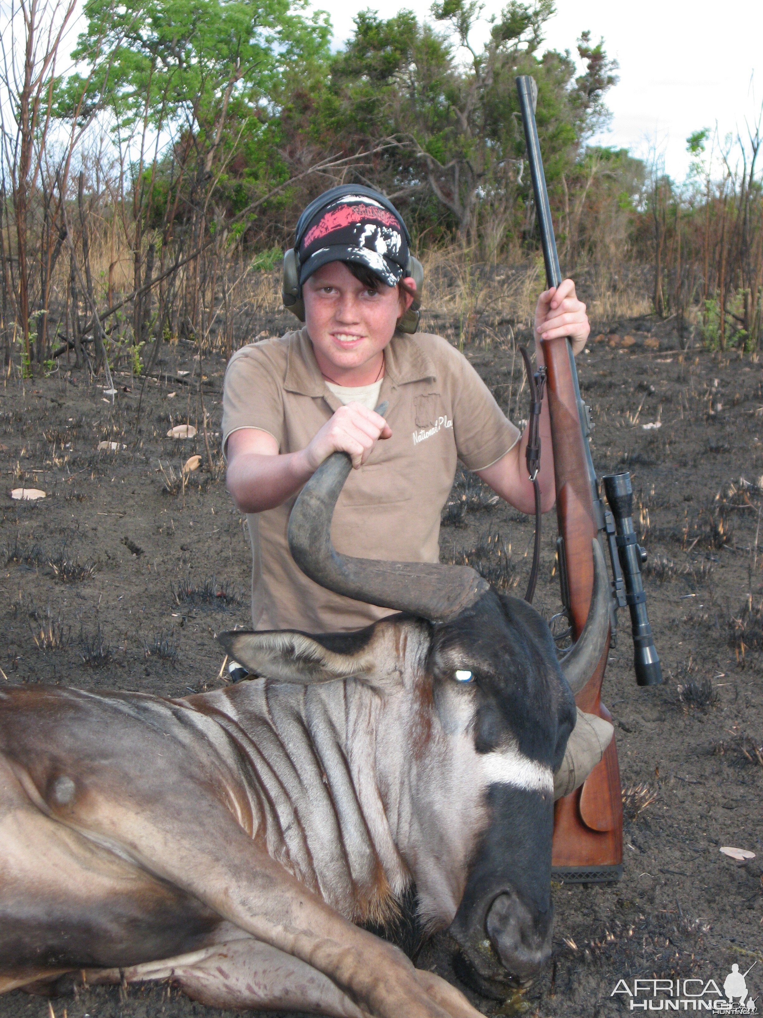 Nice nyasa wildebeest