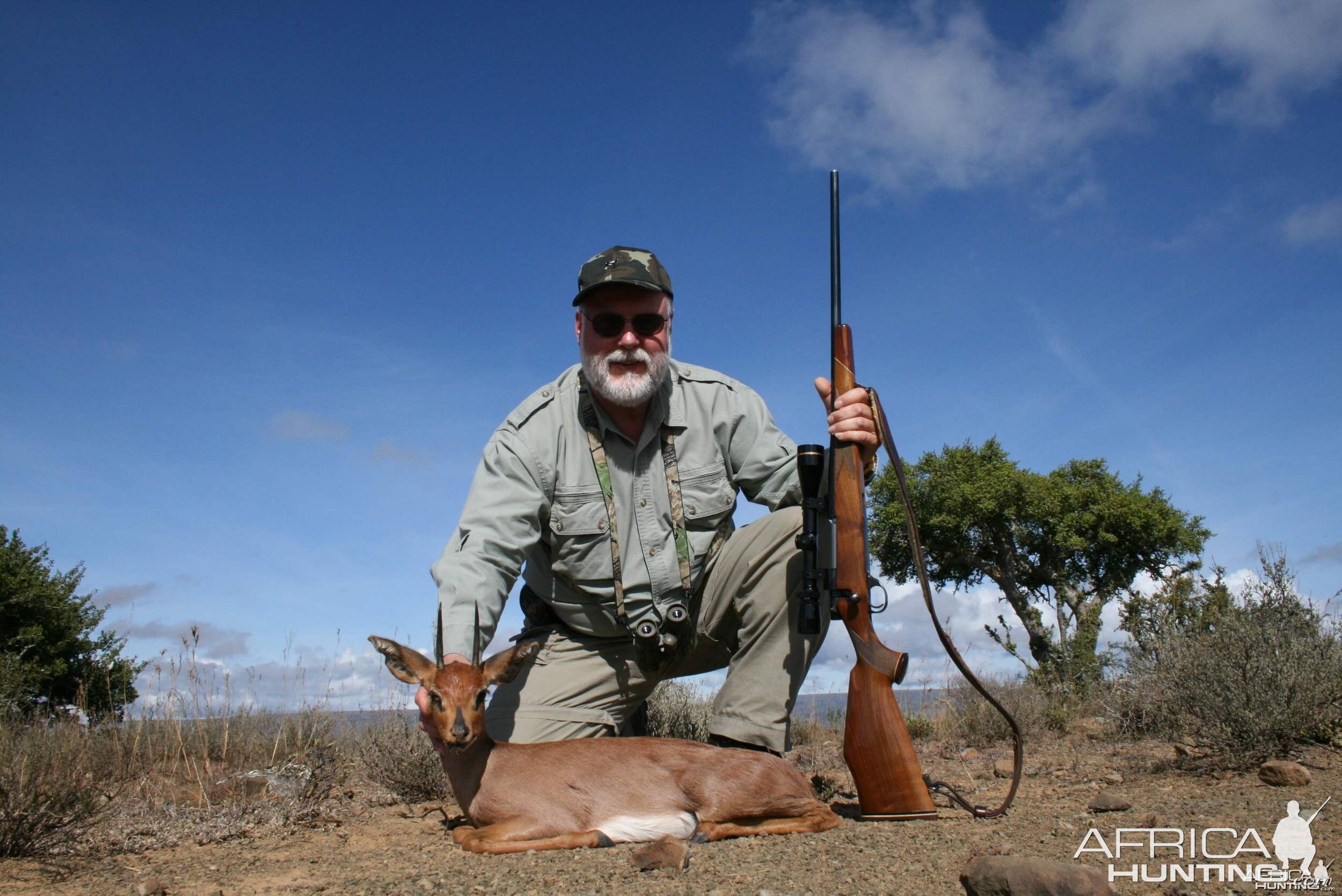 Nice Steenbok