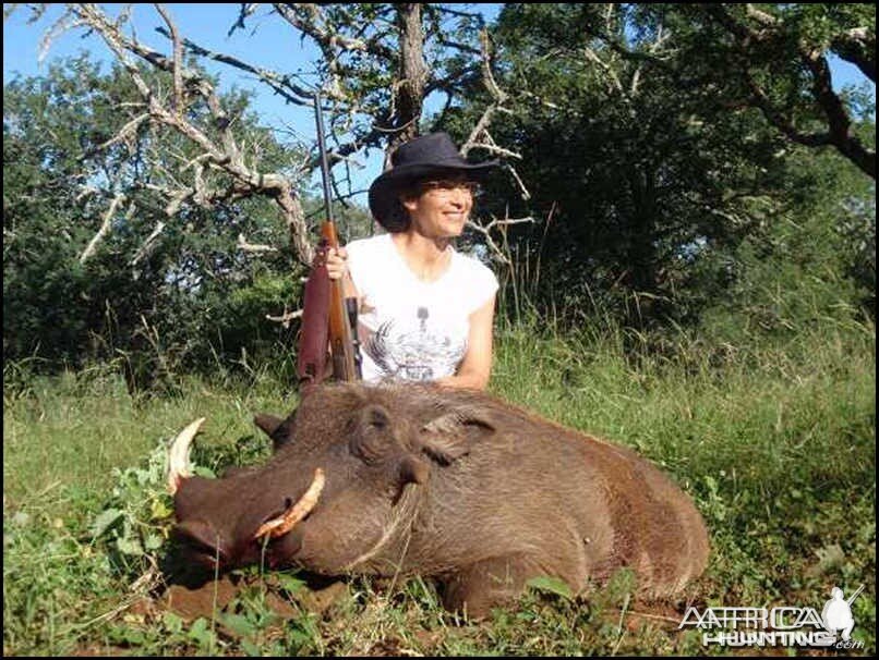 Nice Wart Hog with a .270 Model 70 Winchester