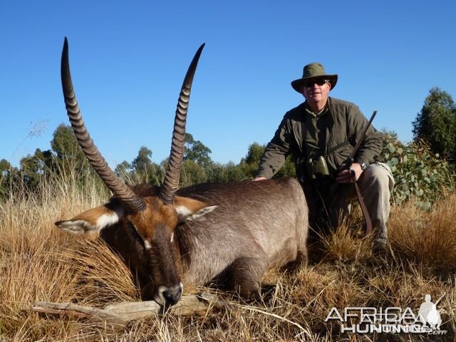 Nice Waterbuck