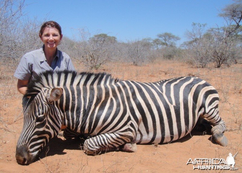 Nice Zebra