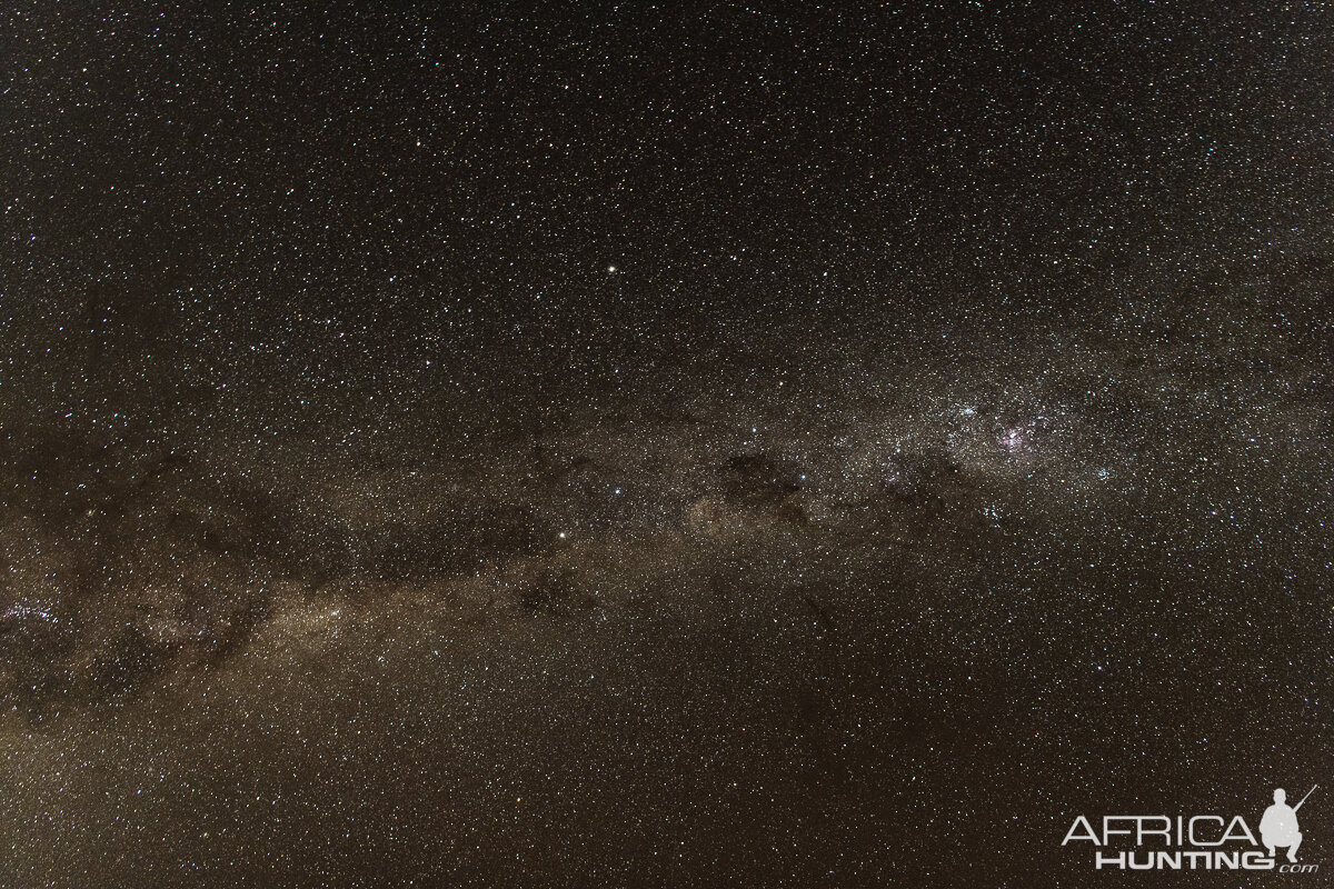 Night Skies in South Africa