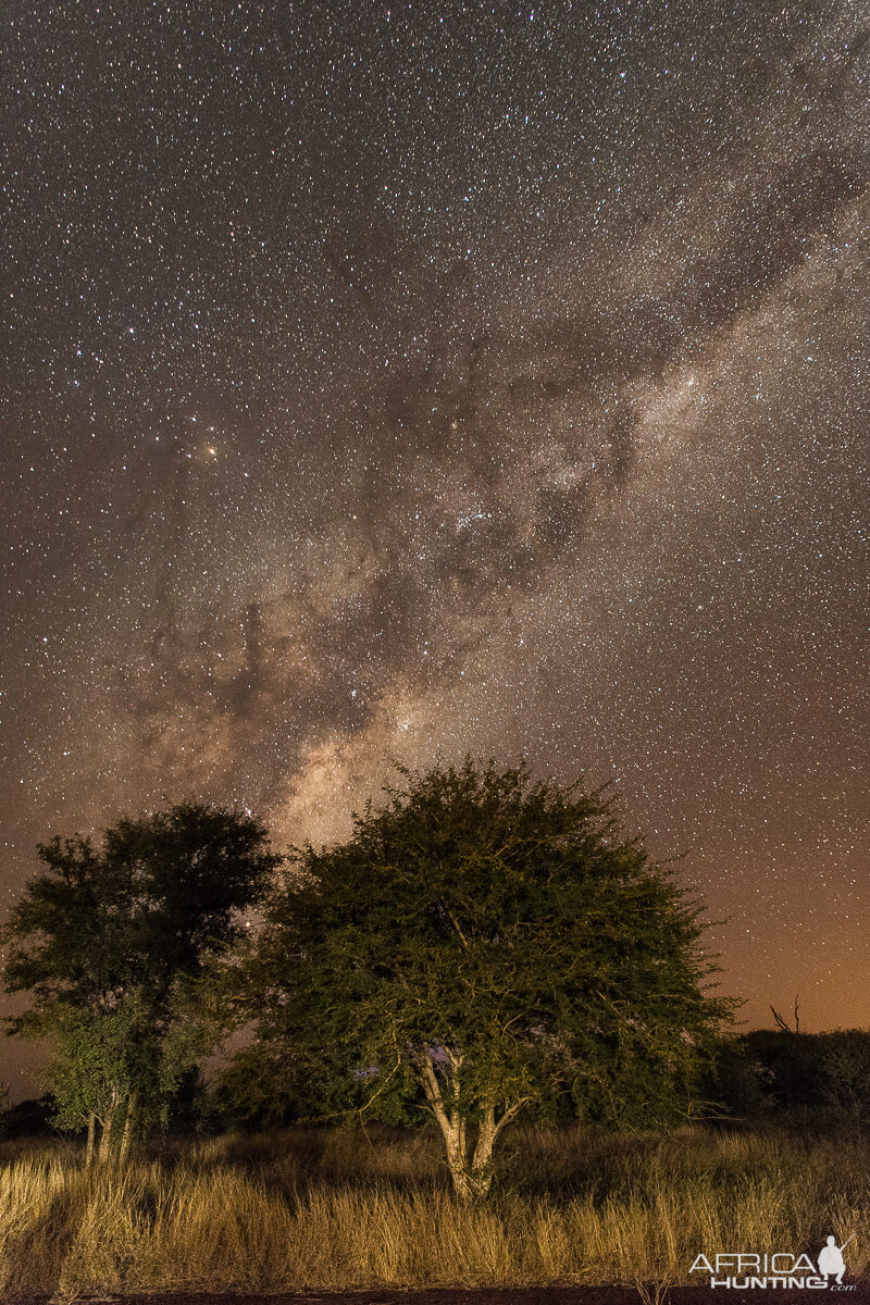 Night Skies in South Africa