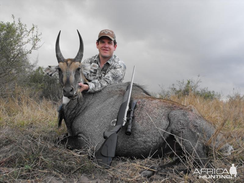 Nilgai Hunt Texas