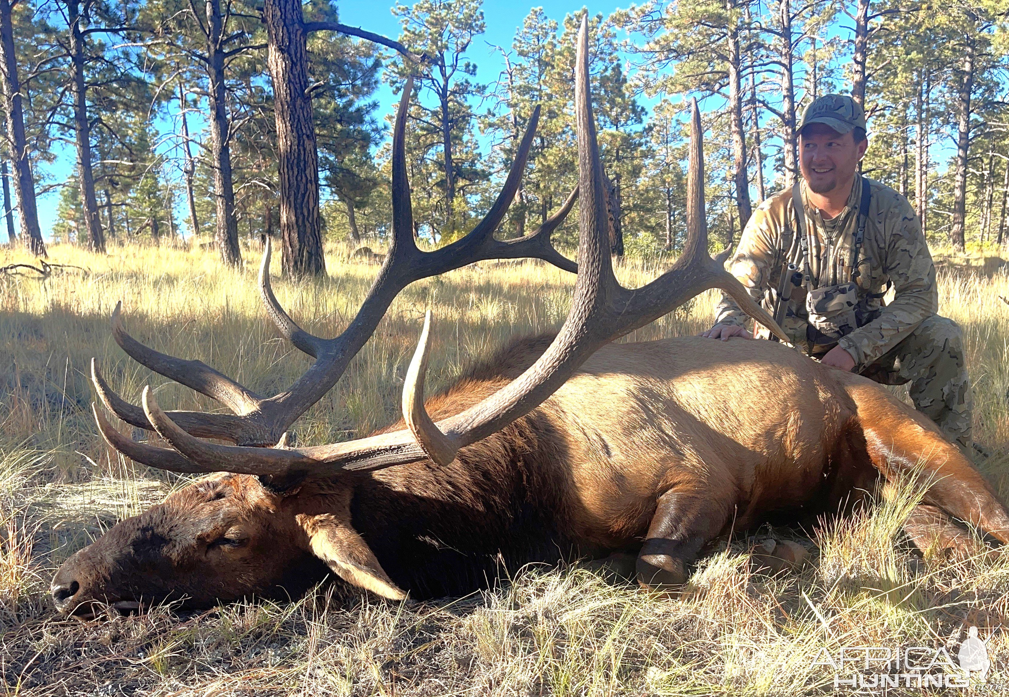 NM Muzzleloader bull