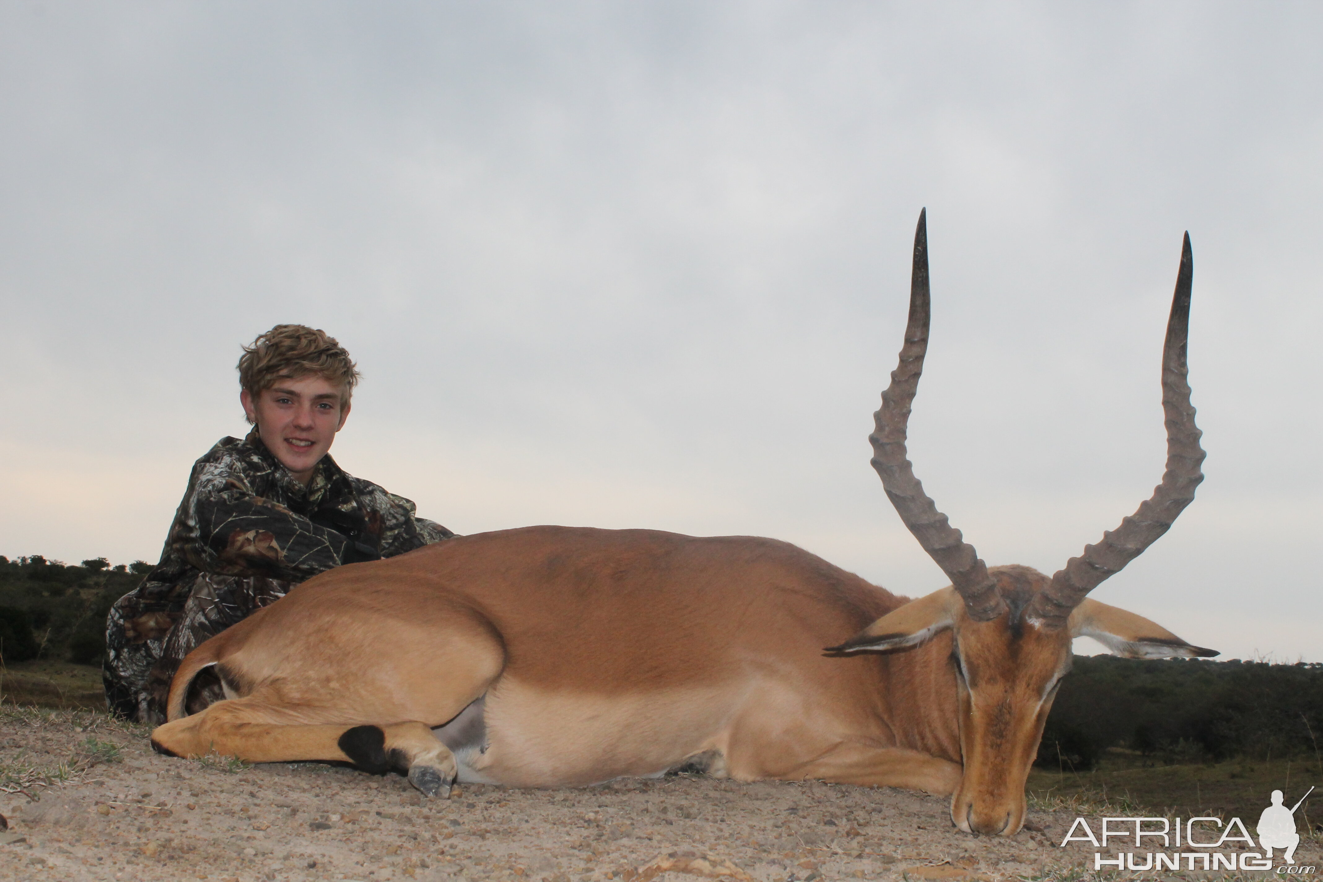 Noah's Impala at Huntershill Safaris