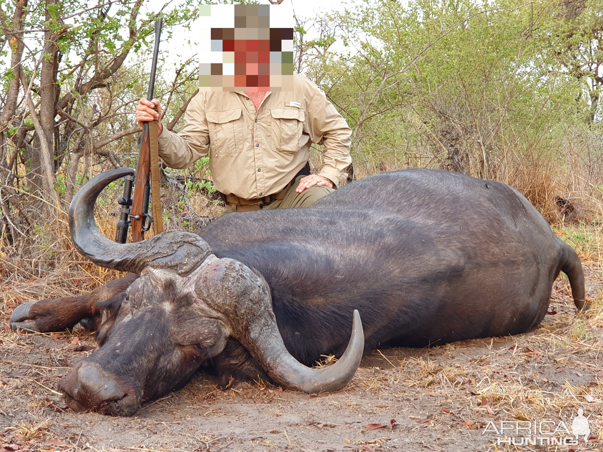 Non-exportable Hunt Cape Buffalo