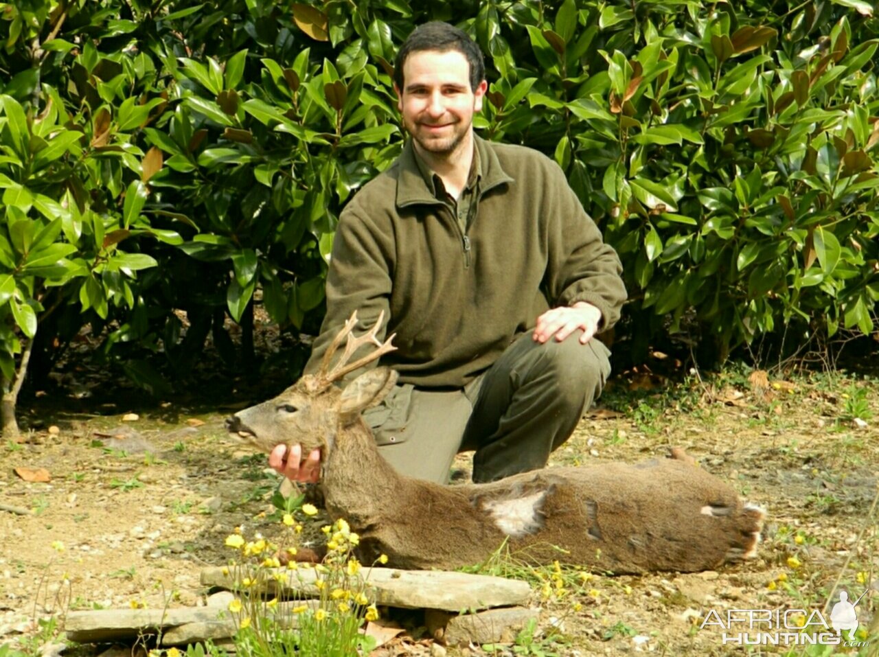 Non-Typical Roe Deer Italy