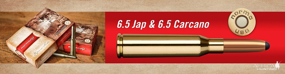 Norma 6.5 Jap & 6.5 Carcano