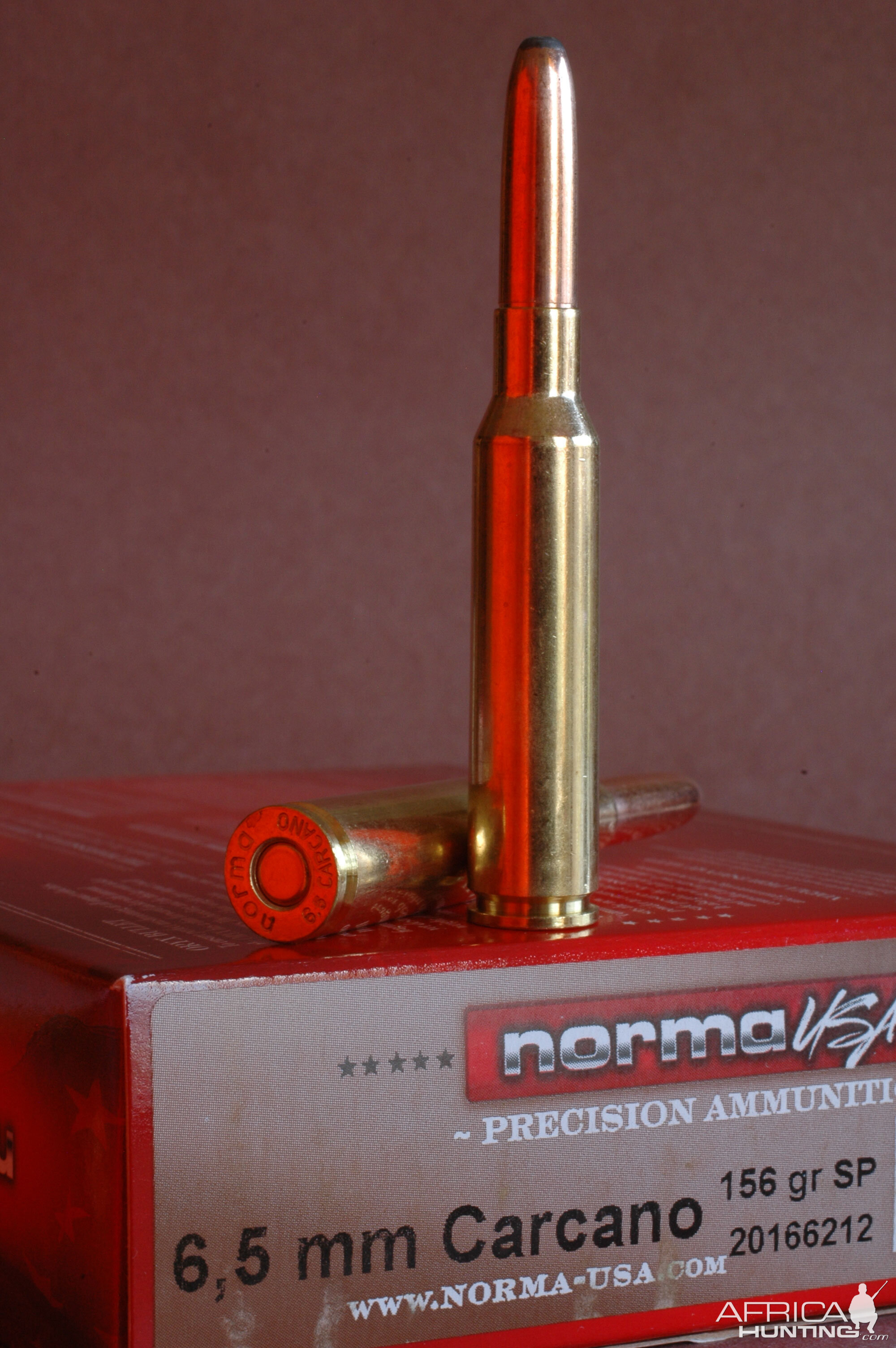 Norma 6.5 Jap & 6.5 Carcano