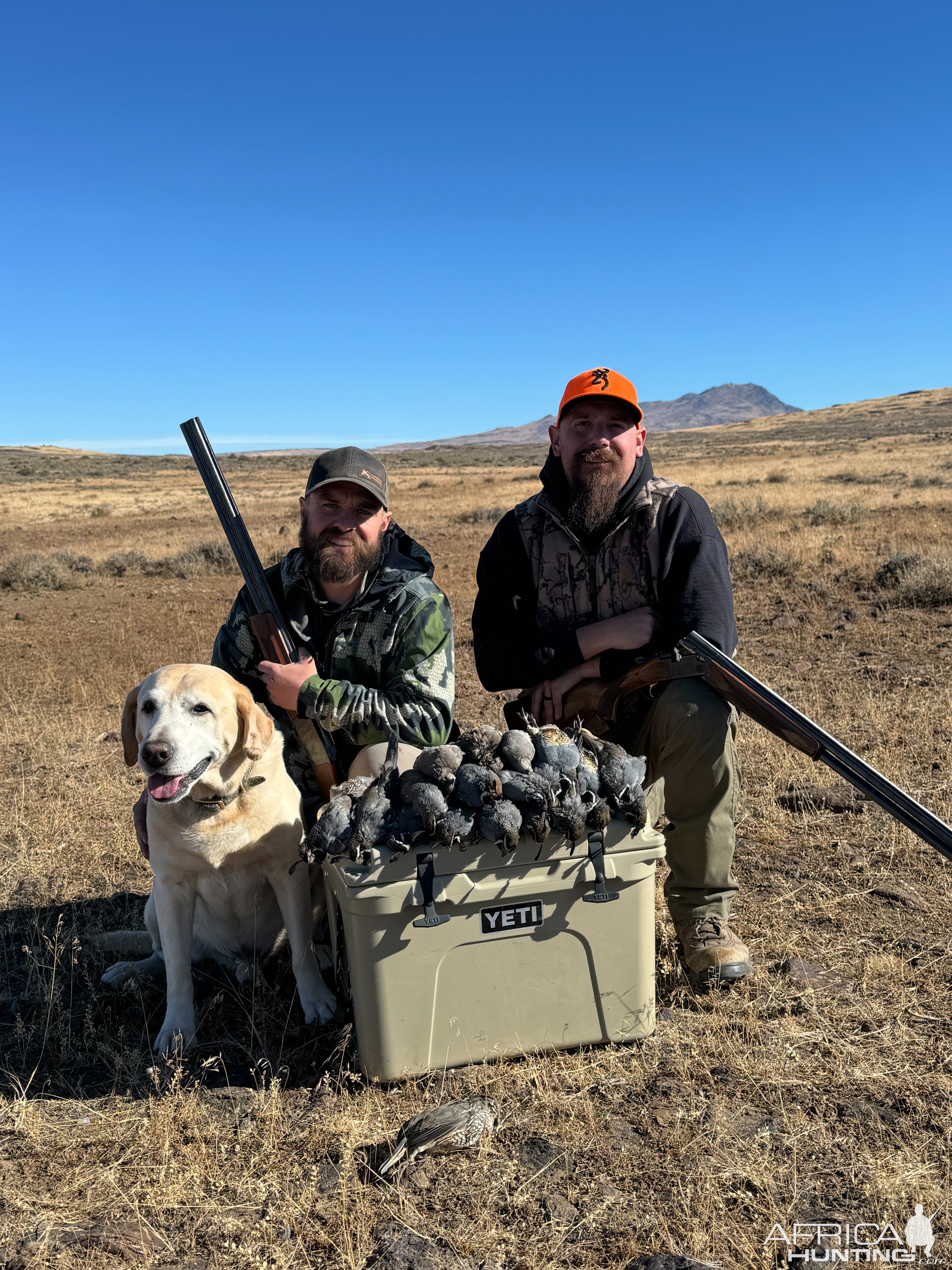 Northern California High Desert Bird Hunt