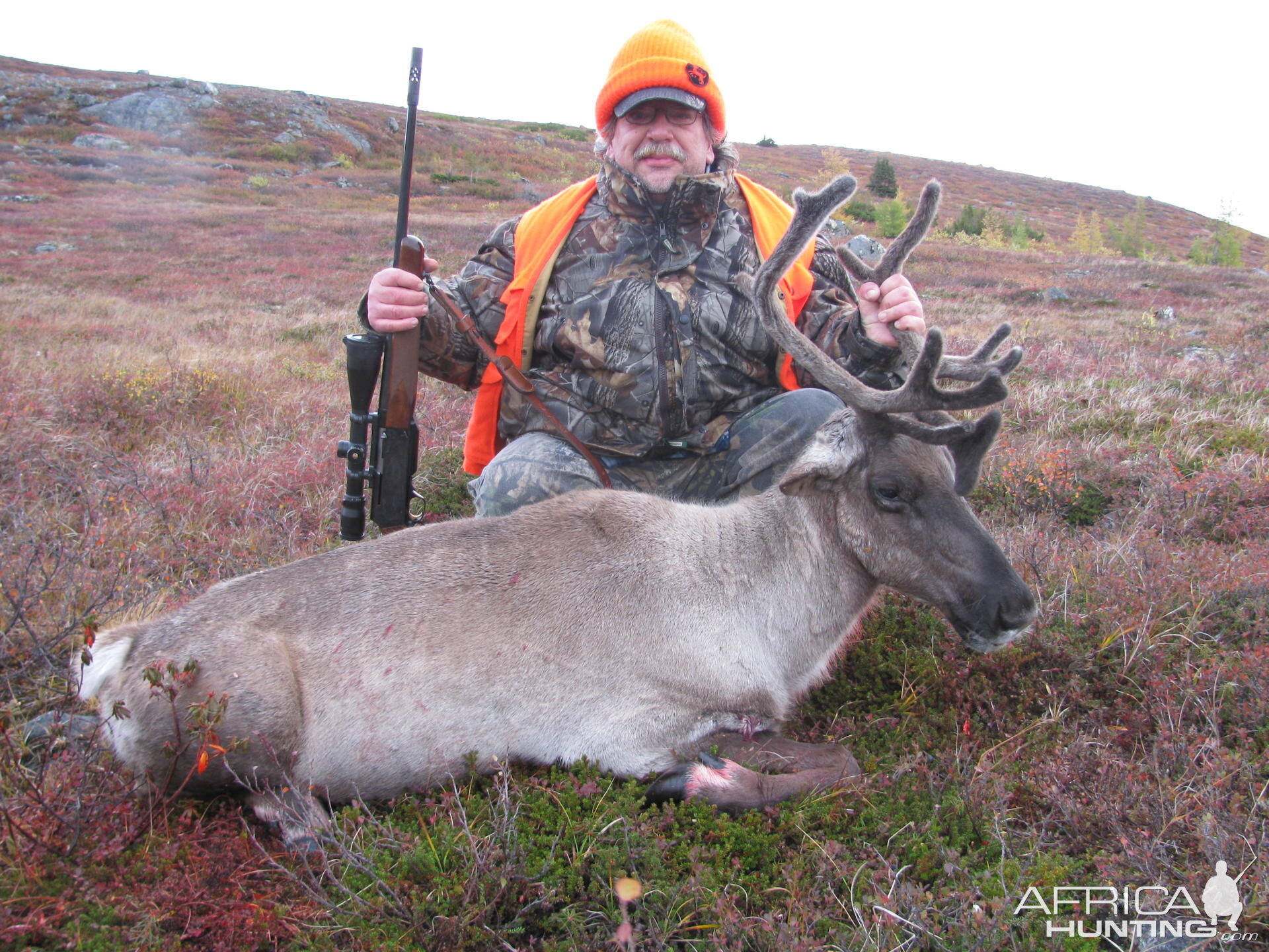 Northern Quebec Caribou Hunting