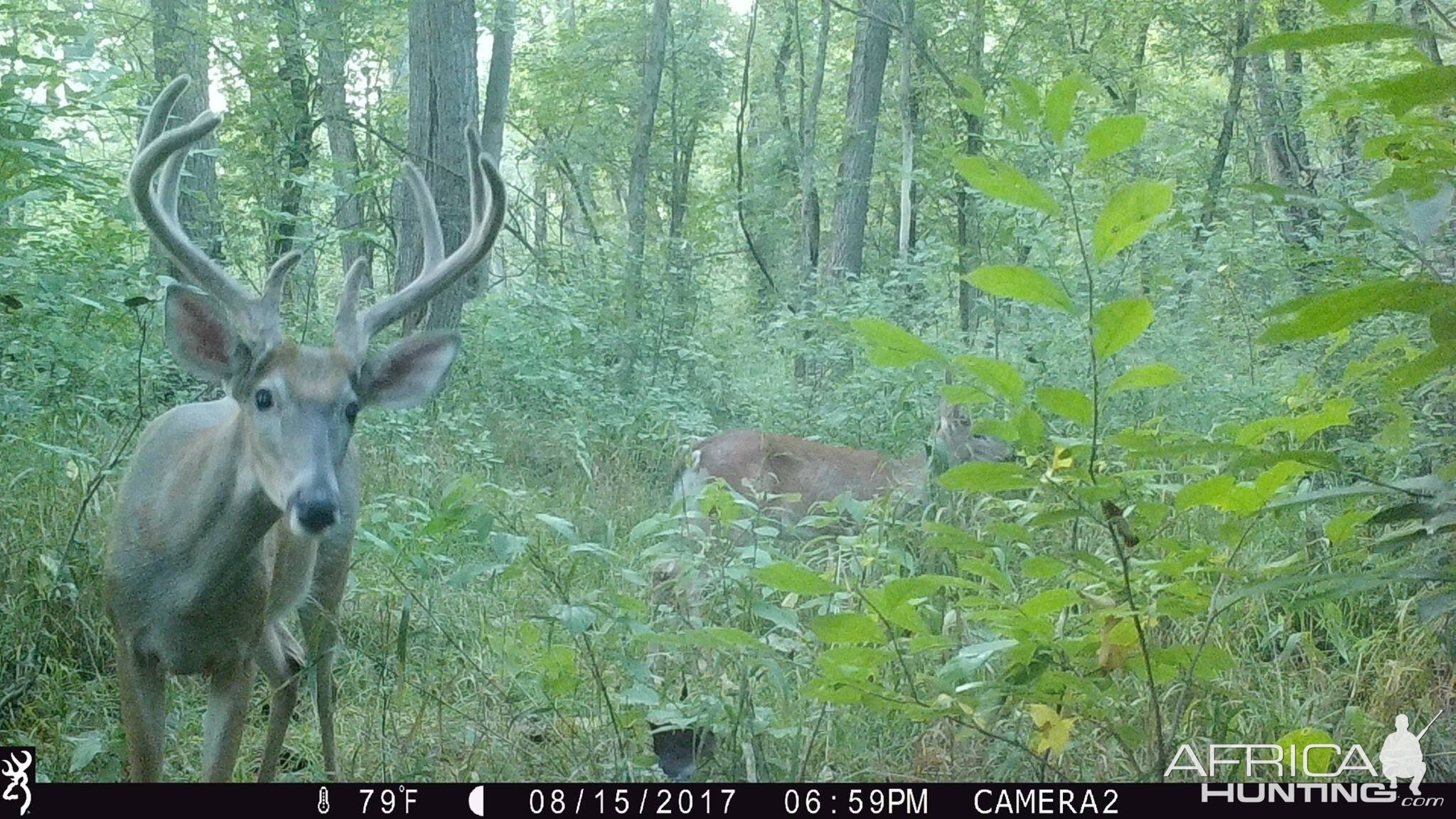 Northern VA (urban)