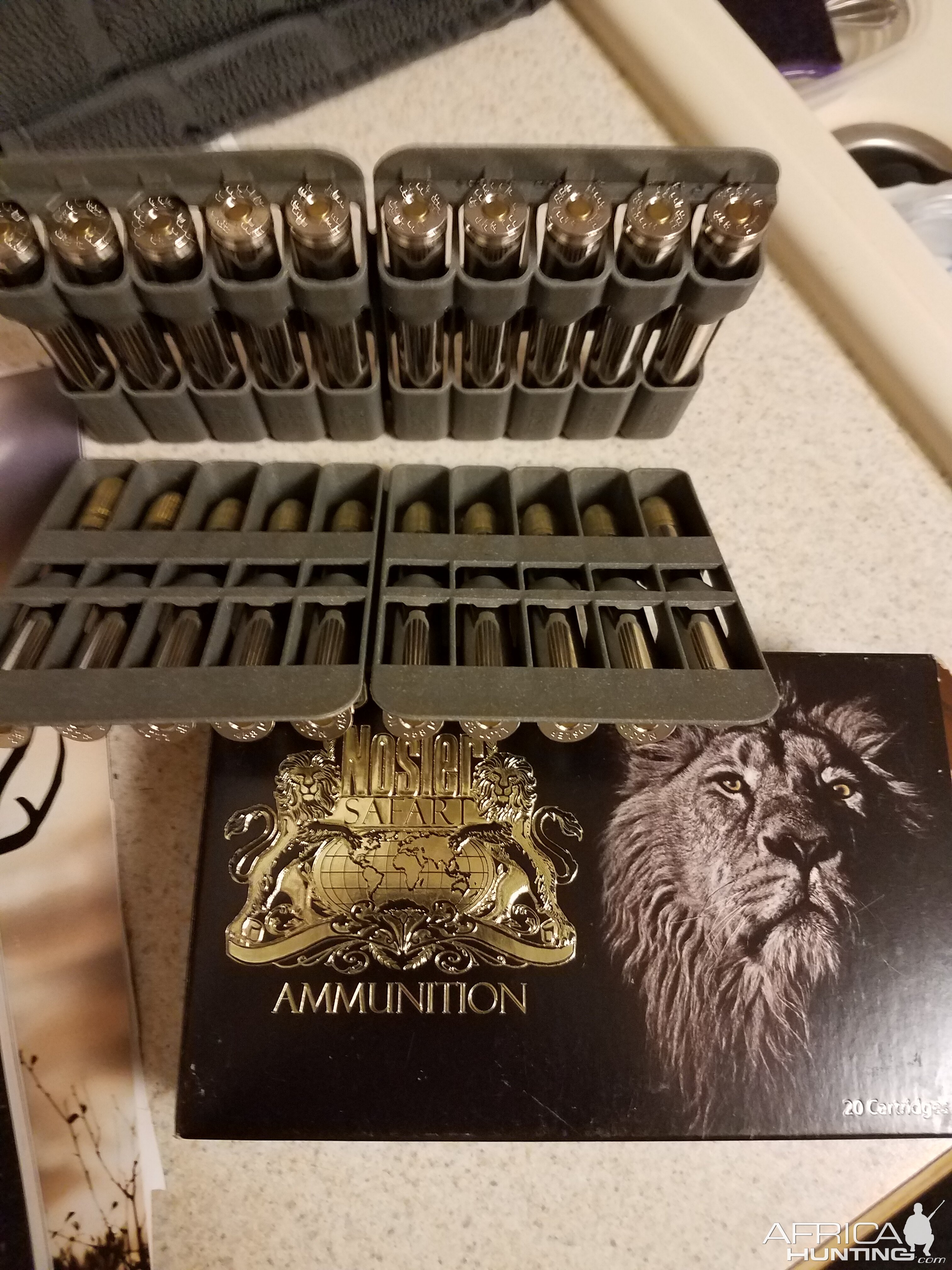 Nosler Ammunition