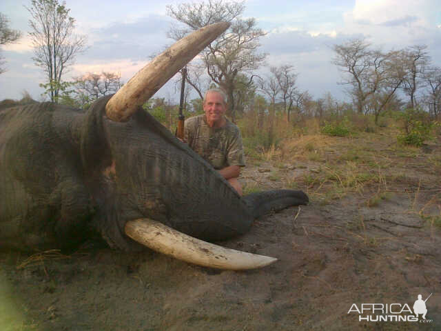 Nov 2012 Elephant Bull in Caprivi