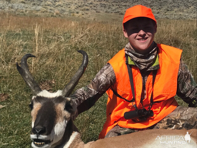 NW Colorado Hunting Pronghorn