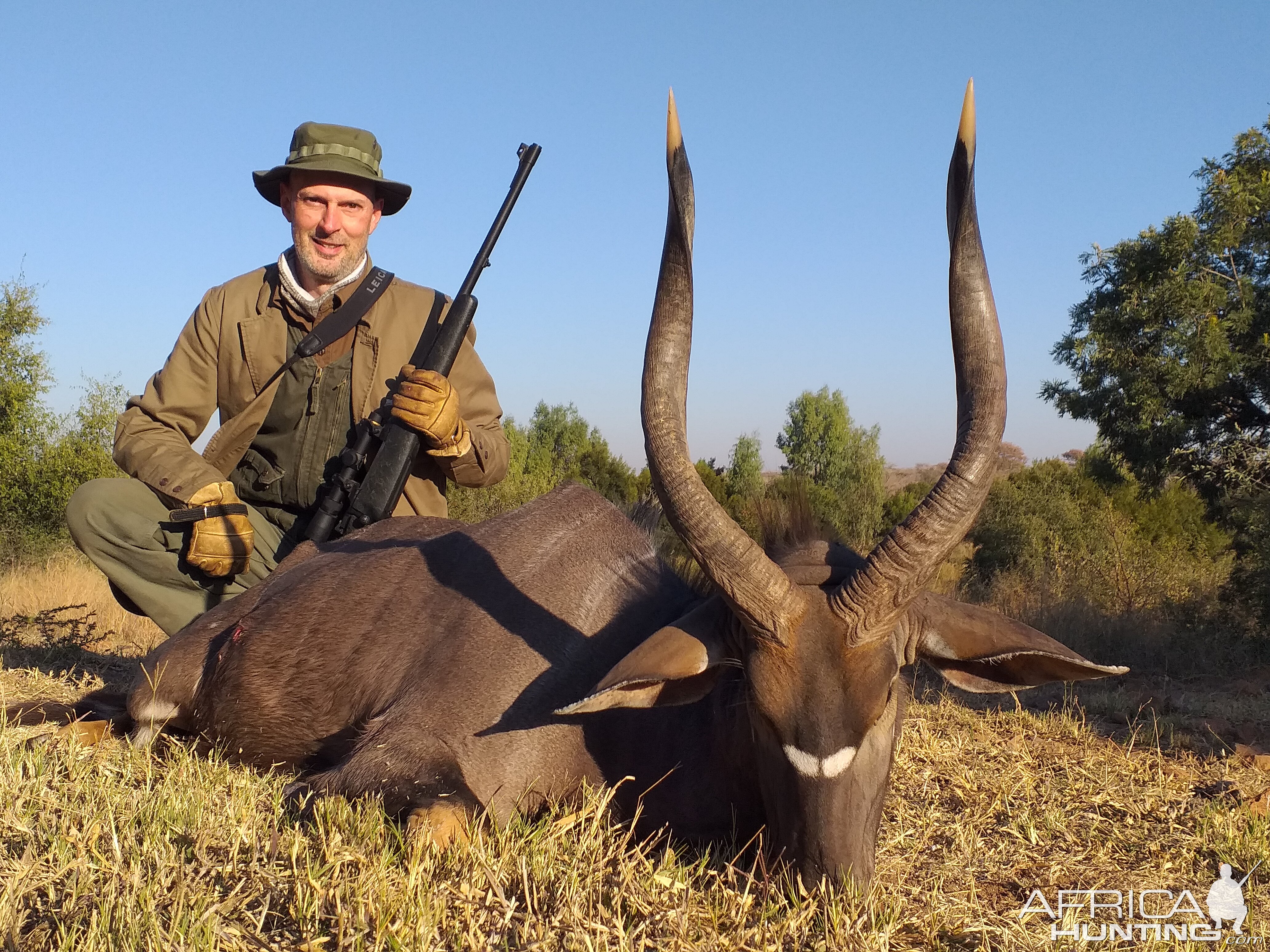 Nyala at Tilodi Game Reserve