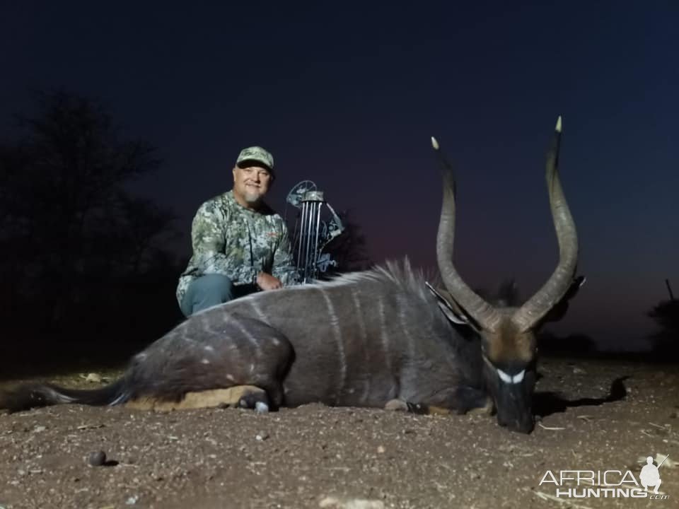 Nyala Bow Hunt Limpopo South Africa