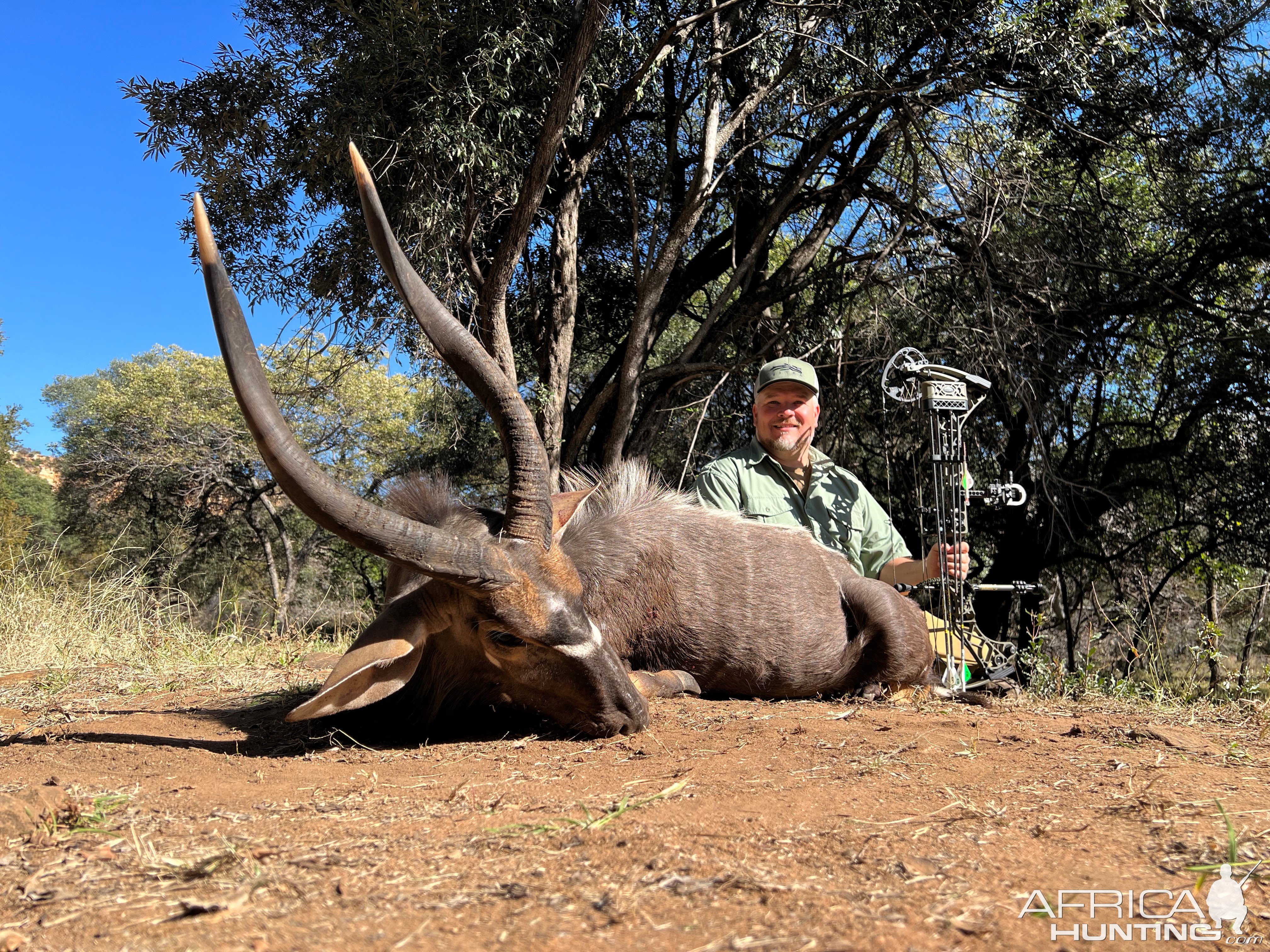 Nyala Bow Hunt South Africa