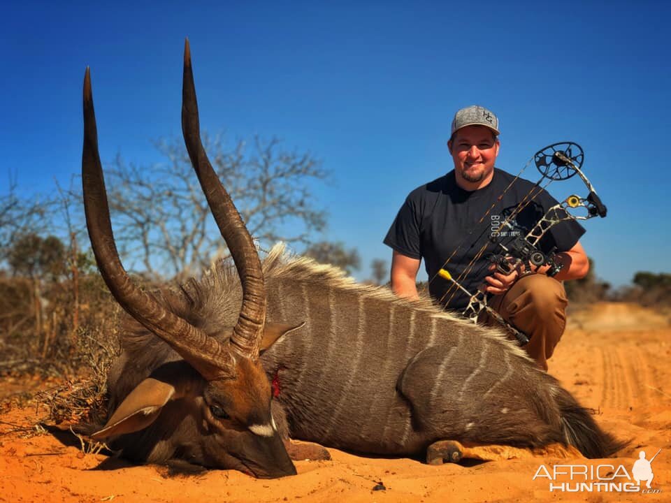 Nyala Bow Hunt South Africa