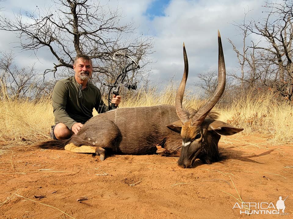 Nyala Bow Hunting