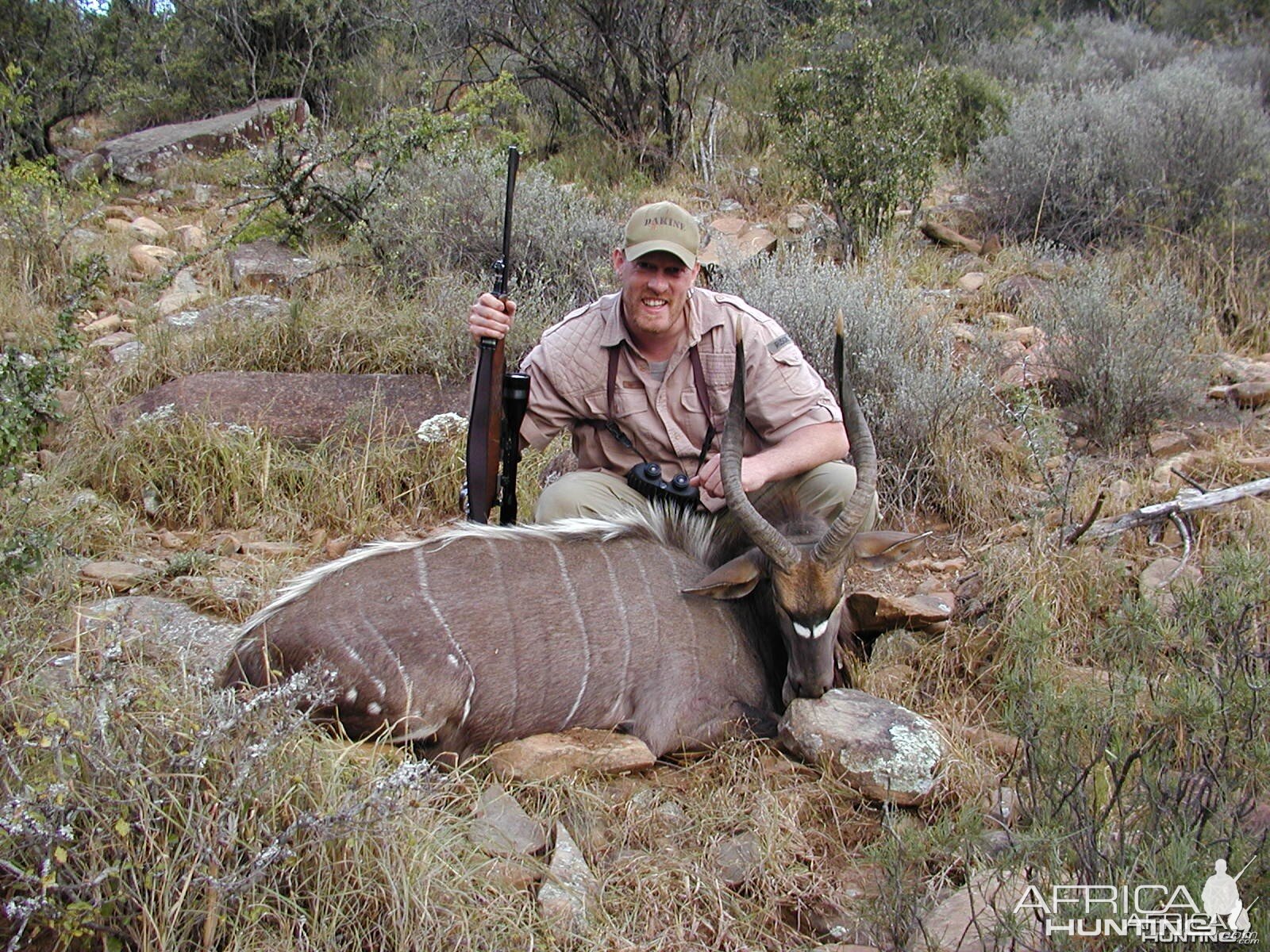 Nyala Bull (Eastern cape)