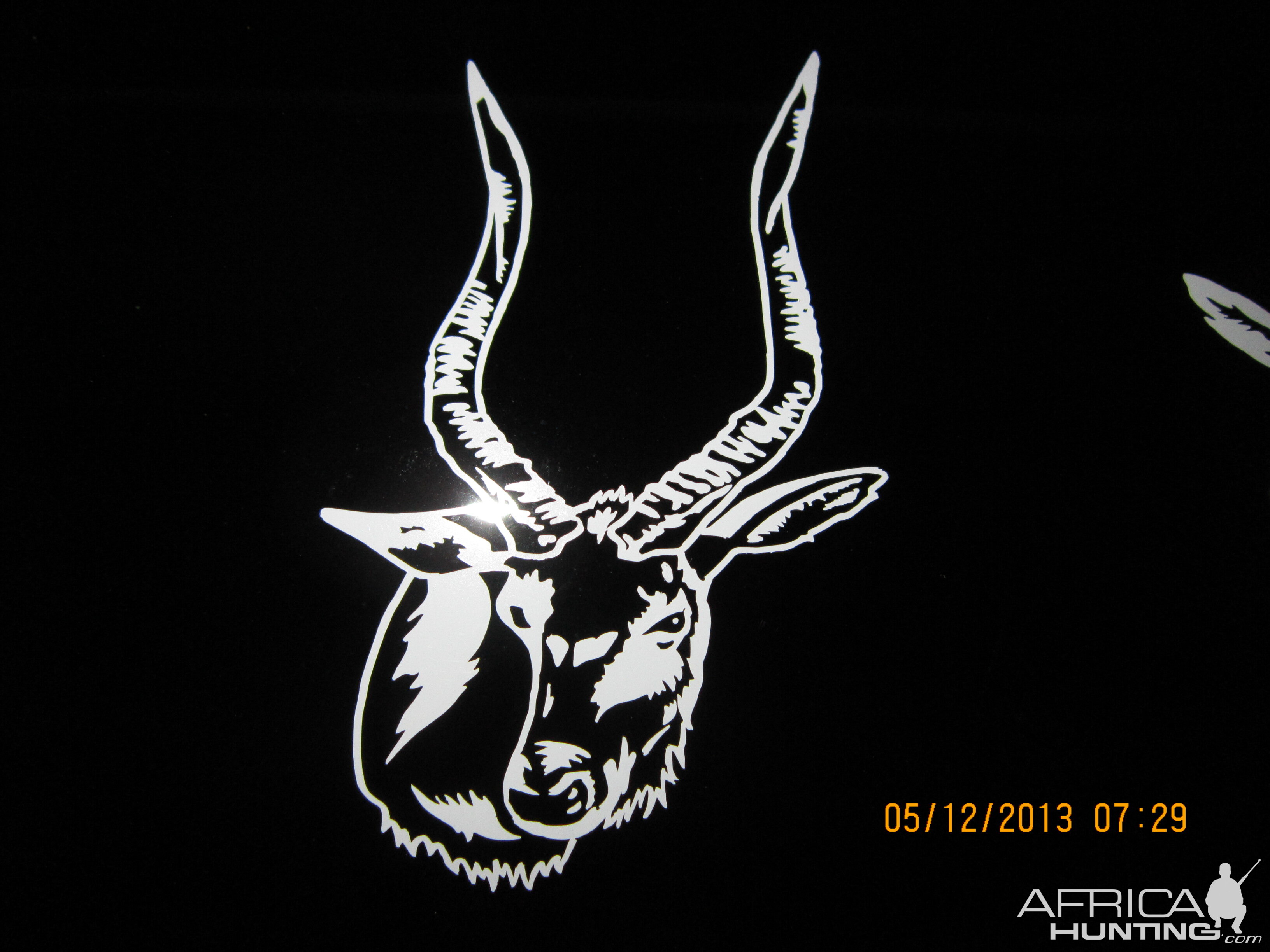 Nyala Decal Stickers