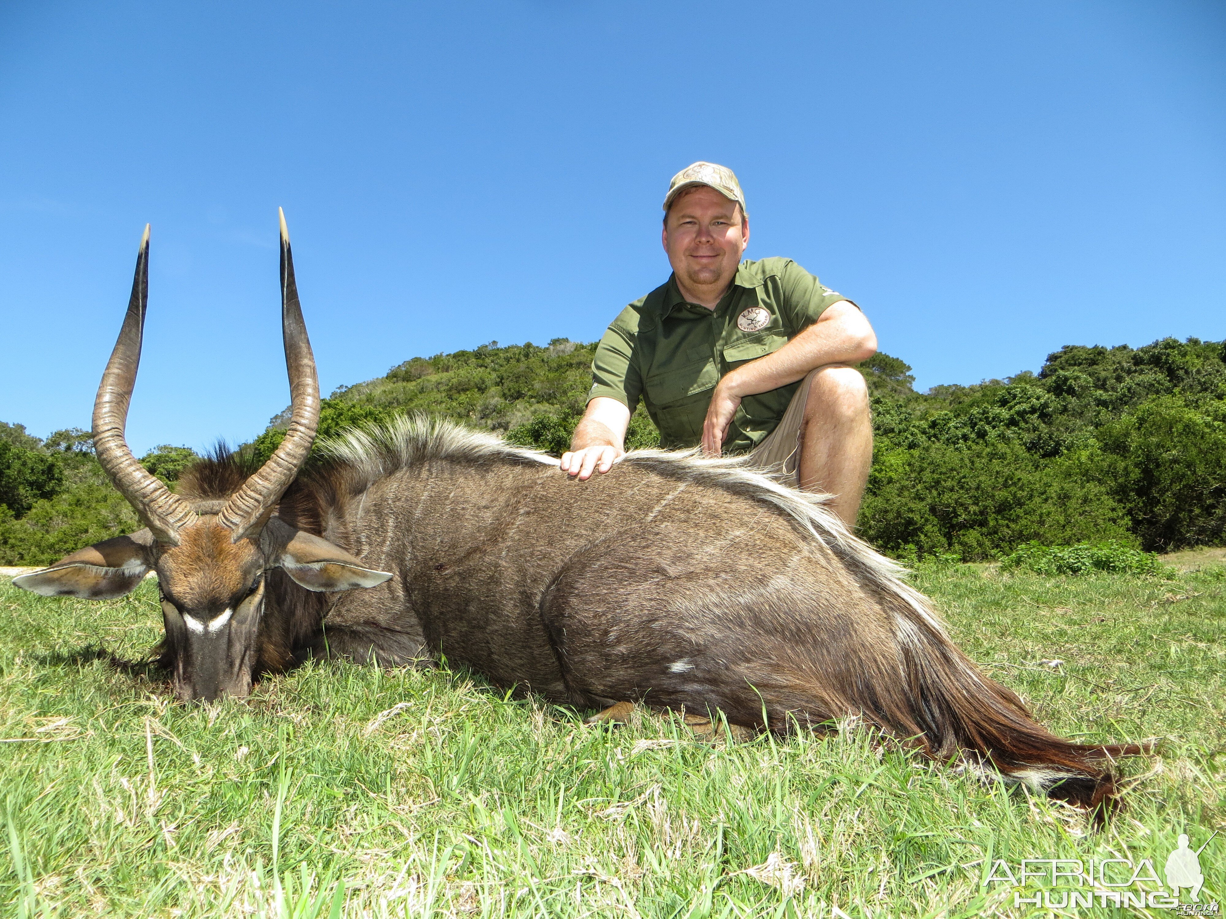 Nyala Eastern Cape